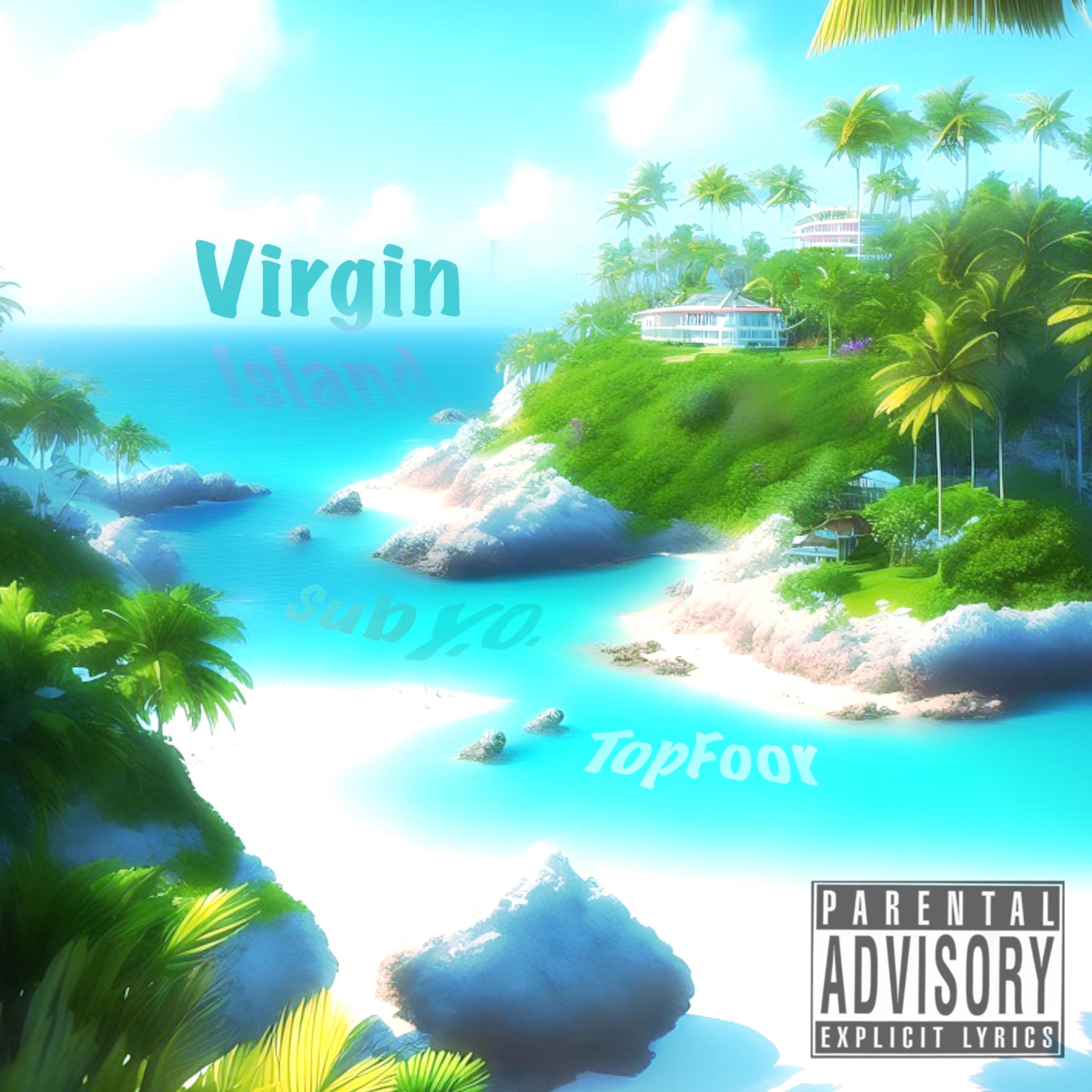 Virgin Island artwork