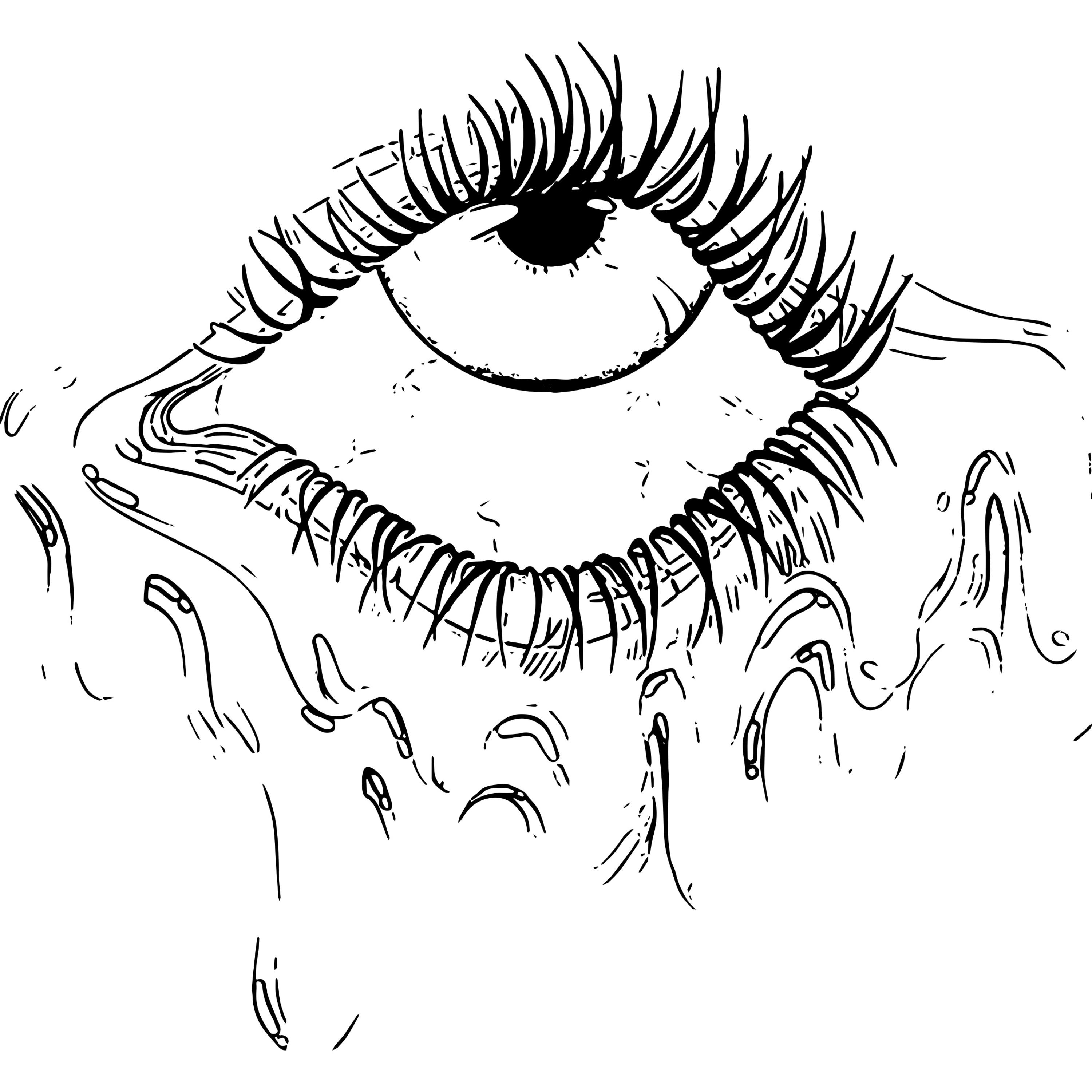 Belly Of The Beast artwork