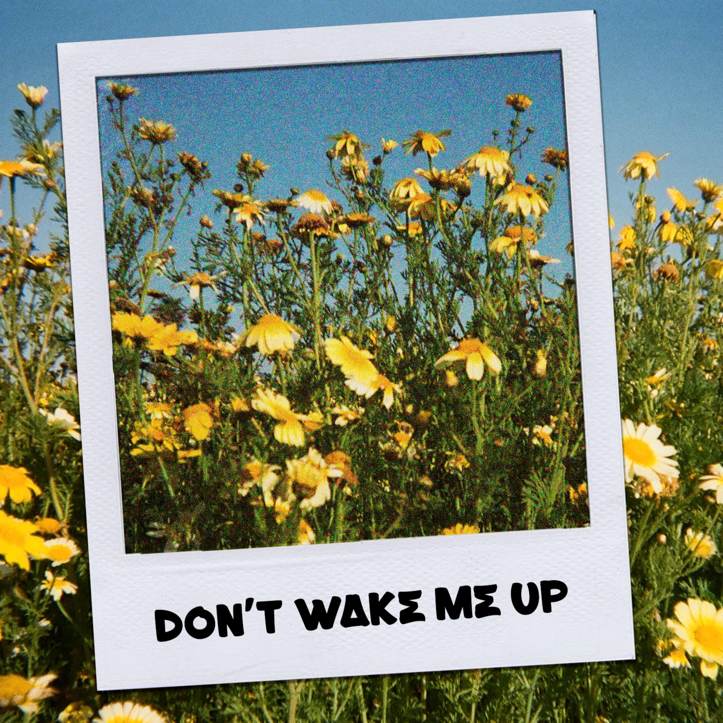 Don't Wake Me Up artwork