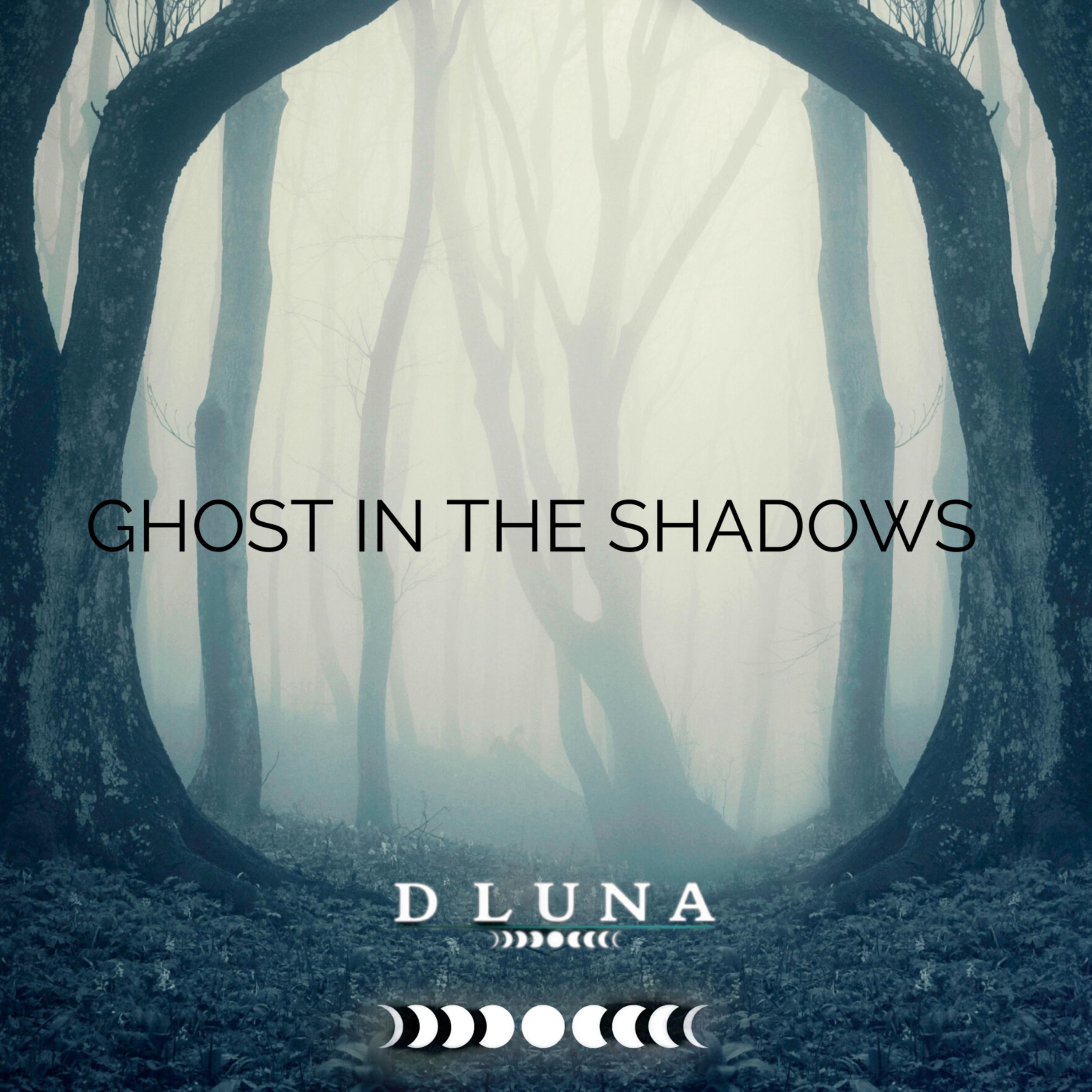 GHOST IN THE SHADOWS artwork