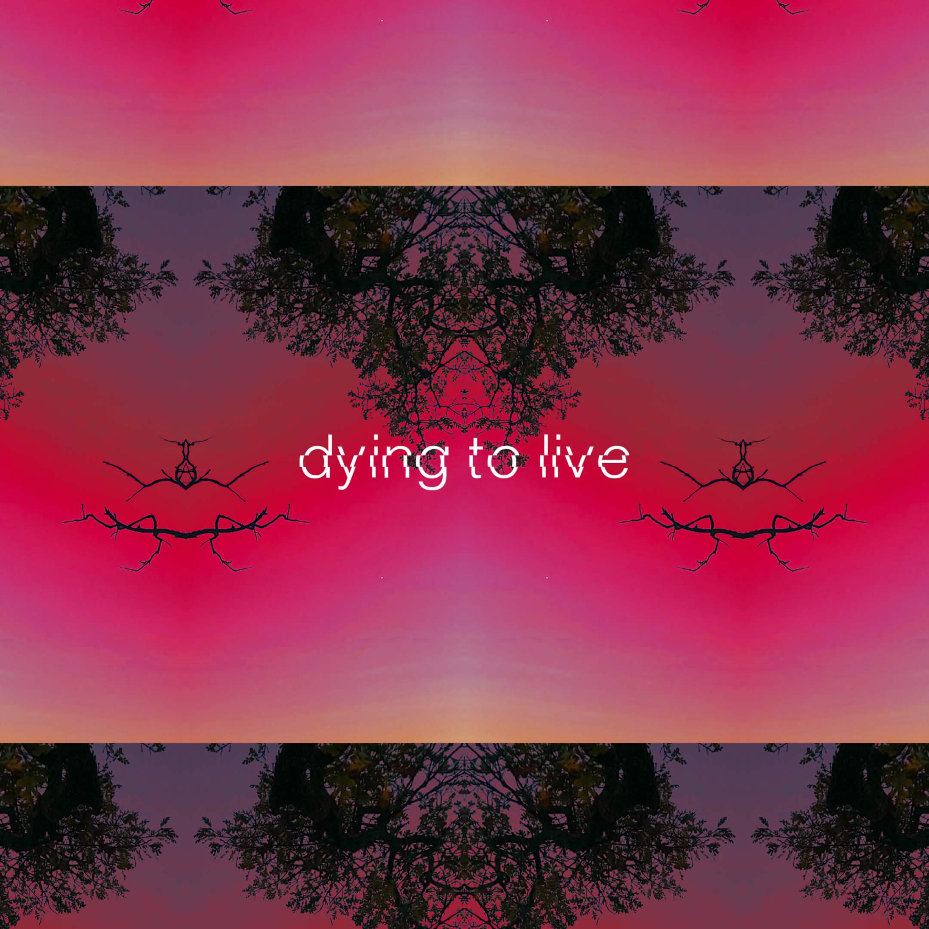 dying to live artwork