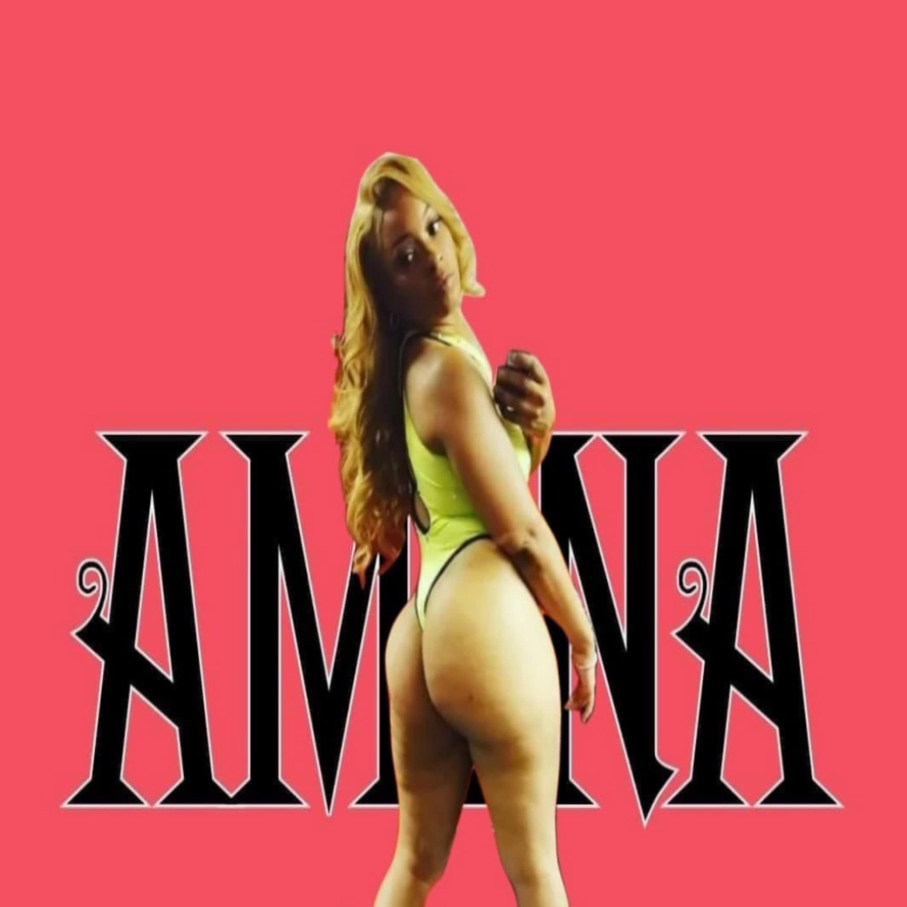 Amina artwork