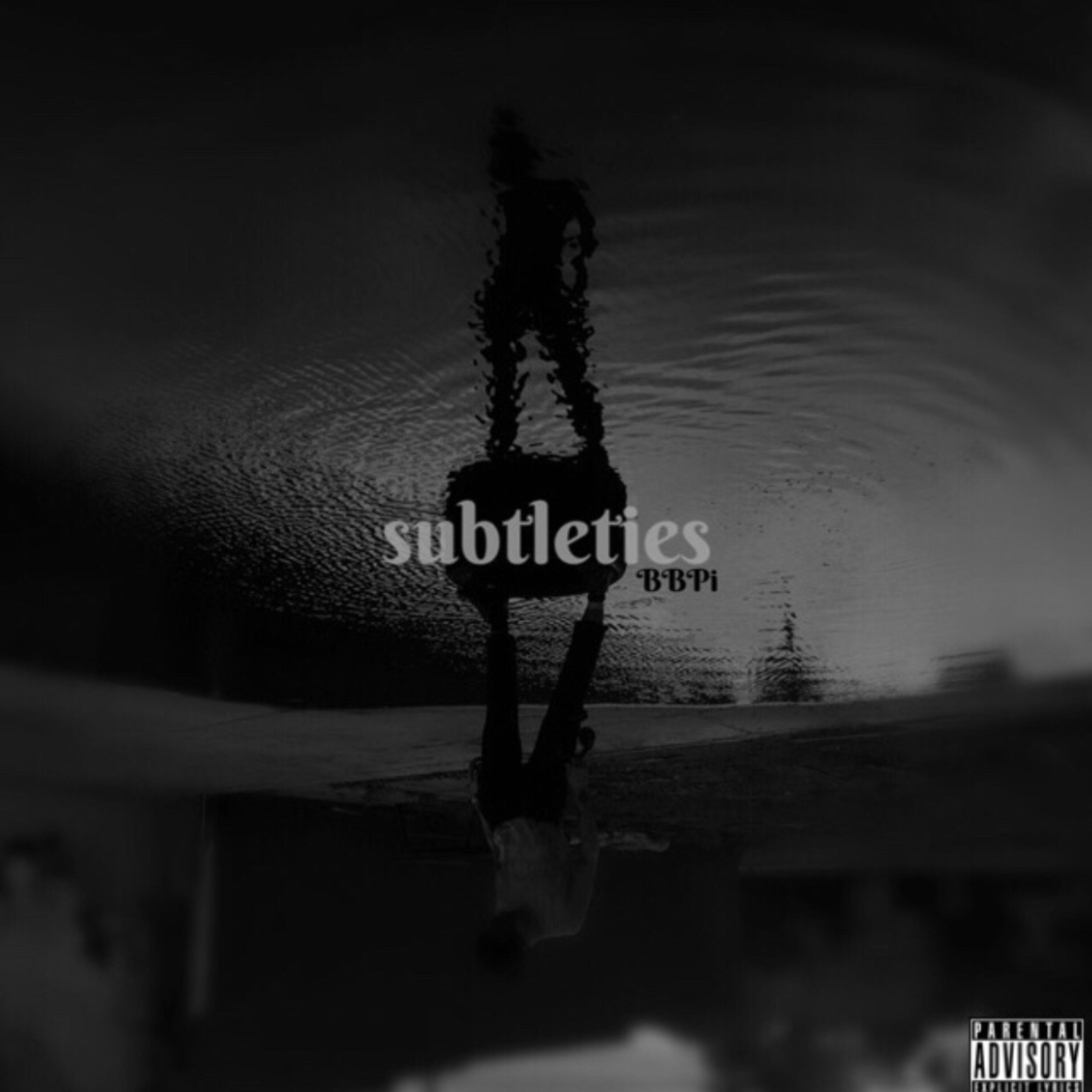 Subtleties artwork
