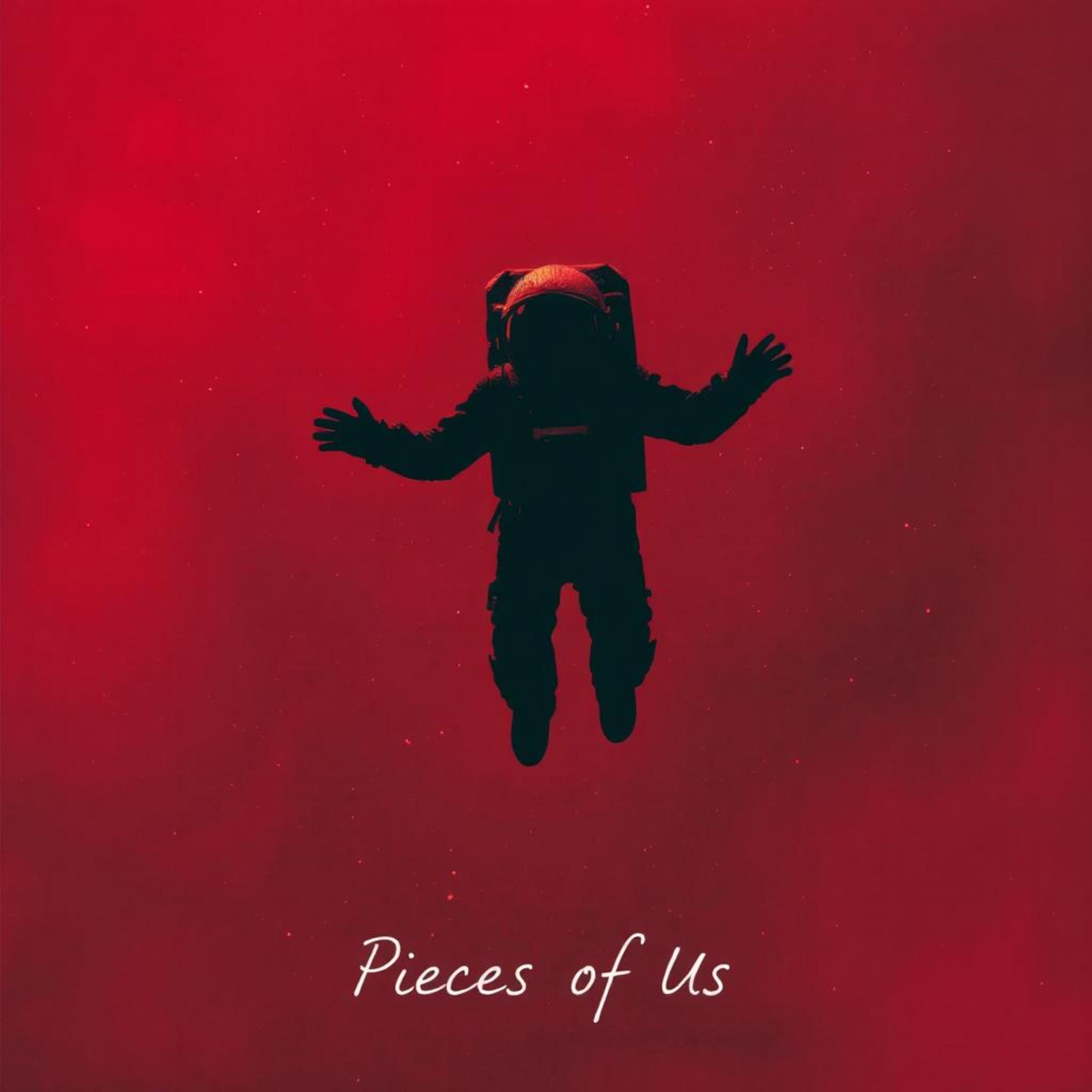 pieces of us artwork