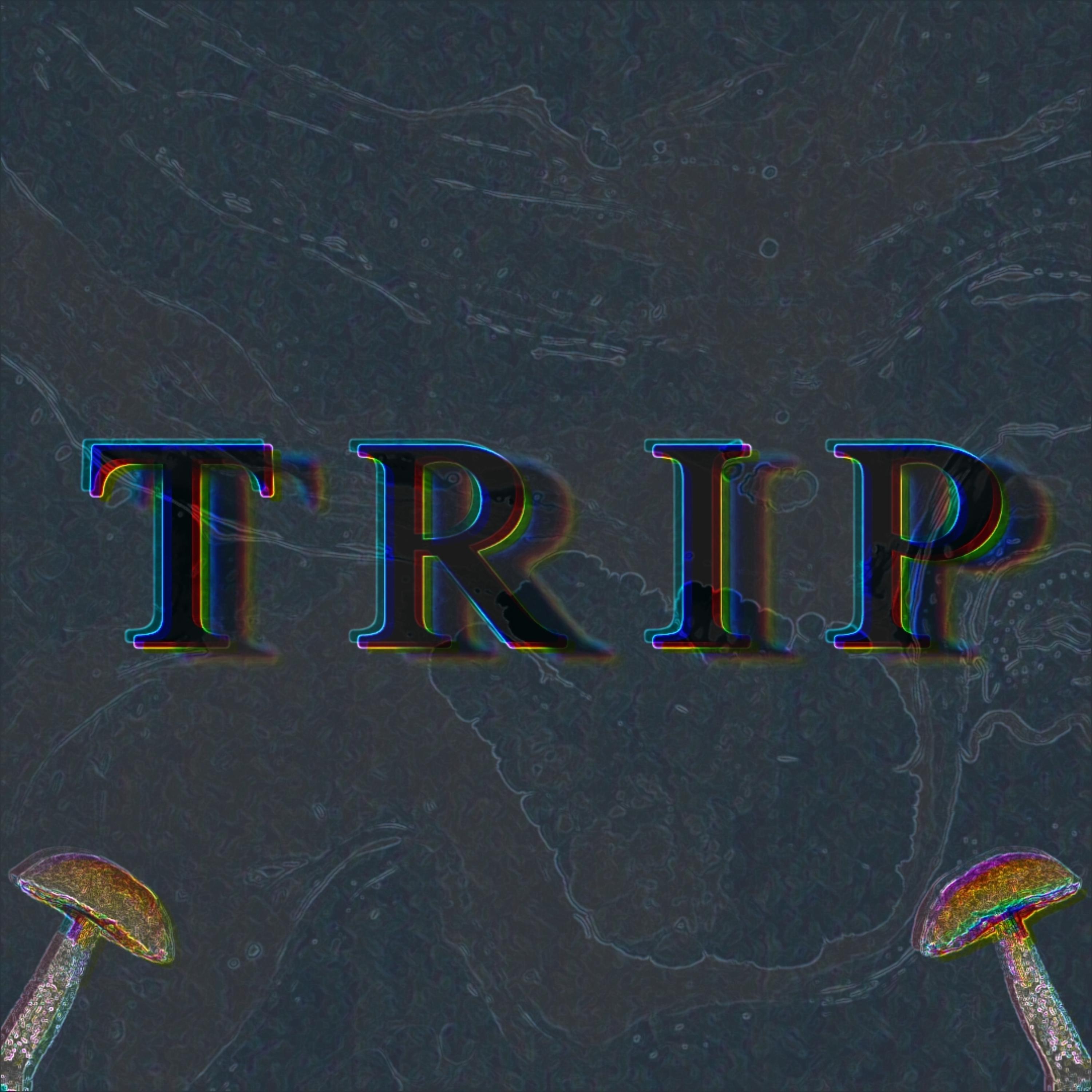 TRIP artwork