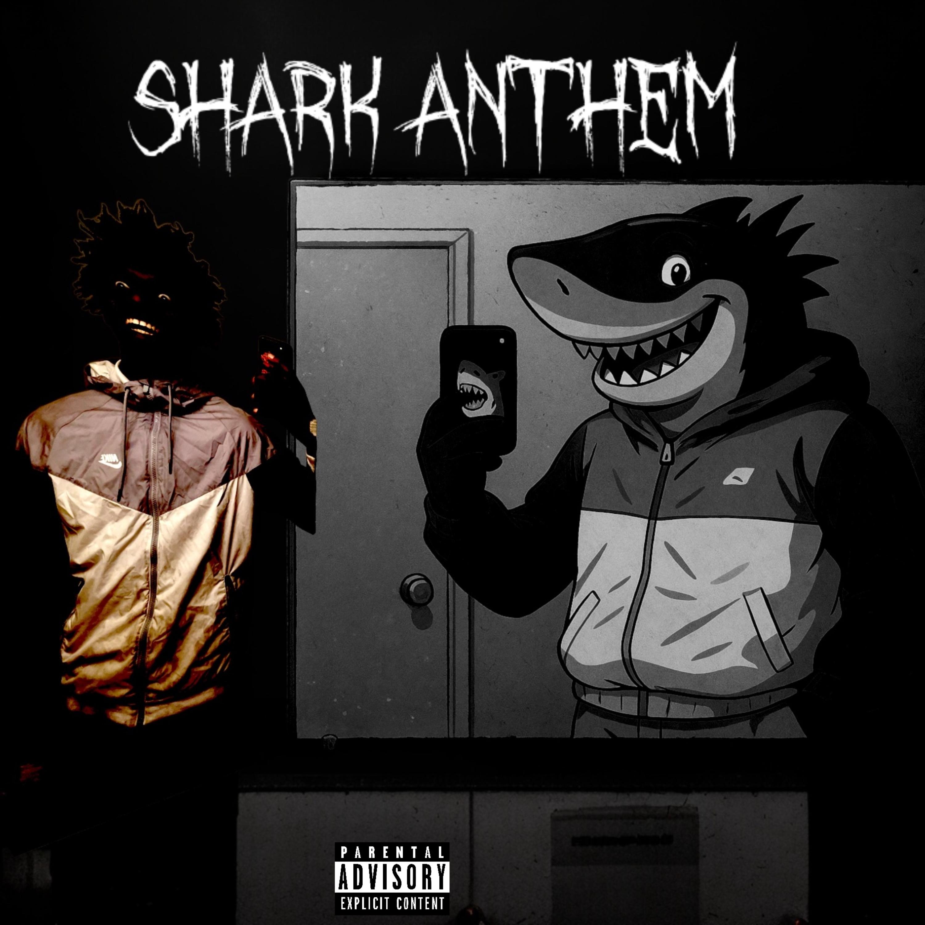 Shark Anthem artwork