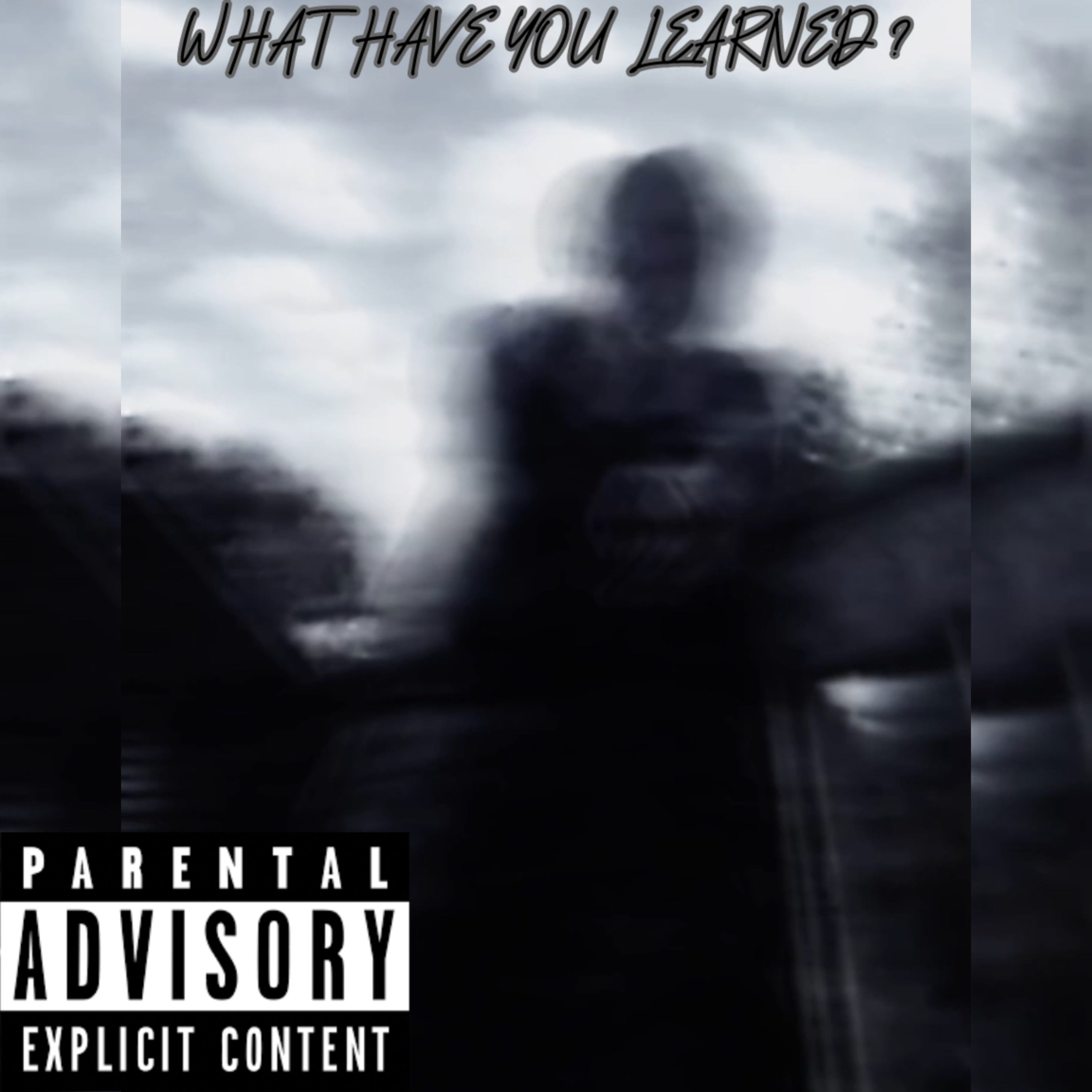 WHAT HAVE YOU LEARNED? artwork