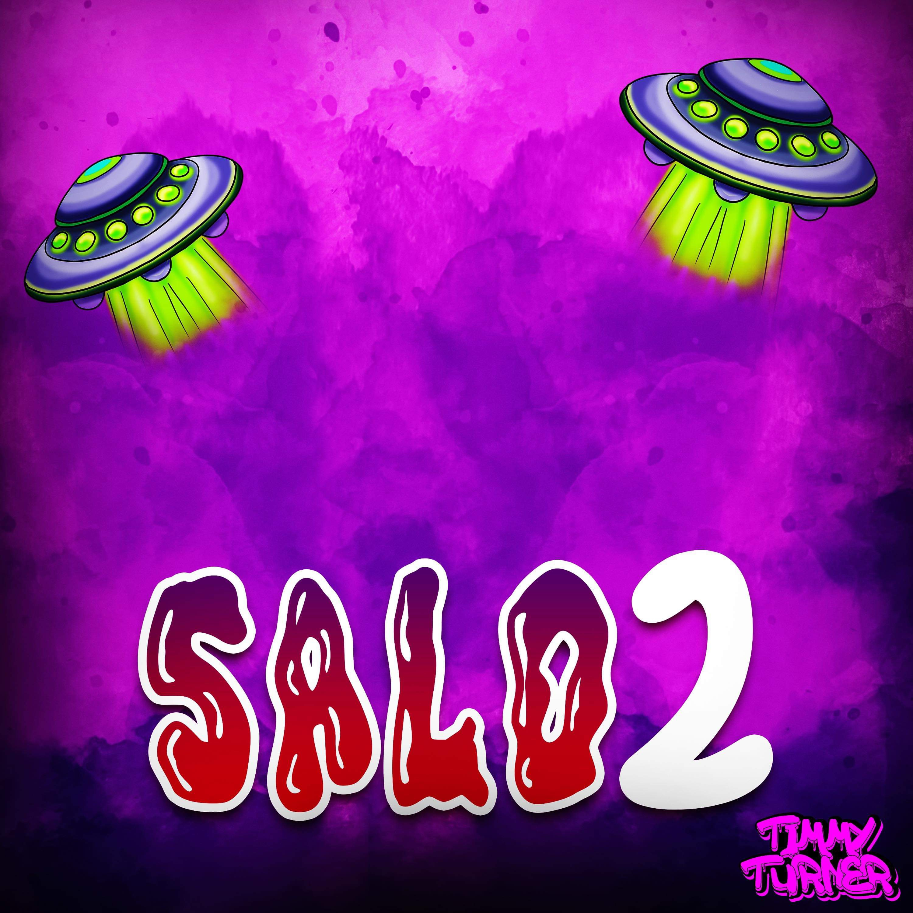 SALO II artwork
