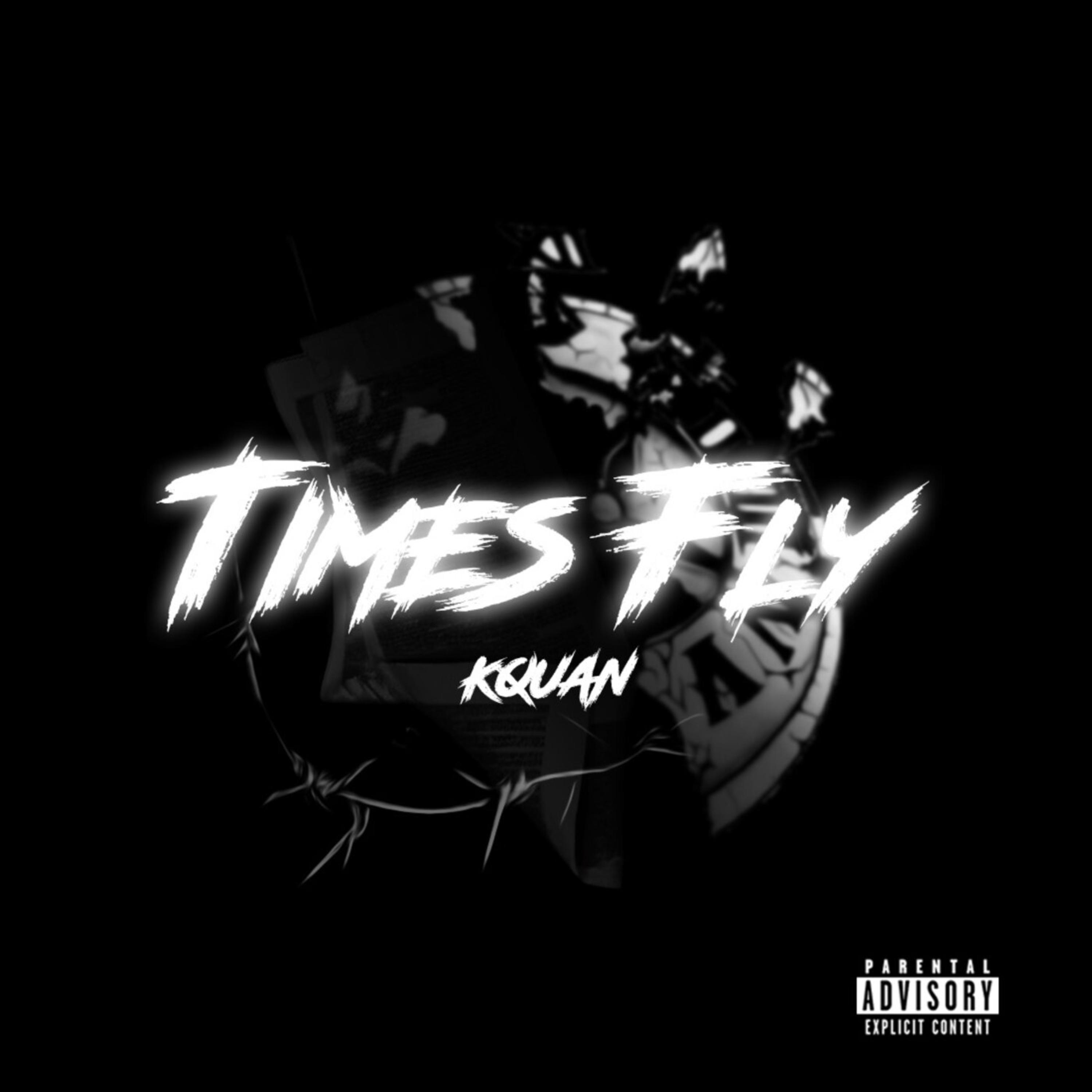 Times fly artwork