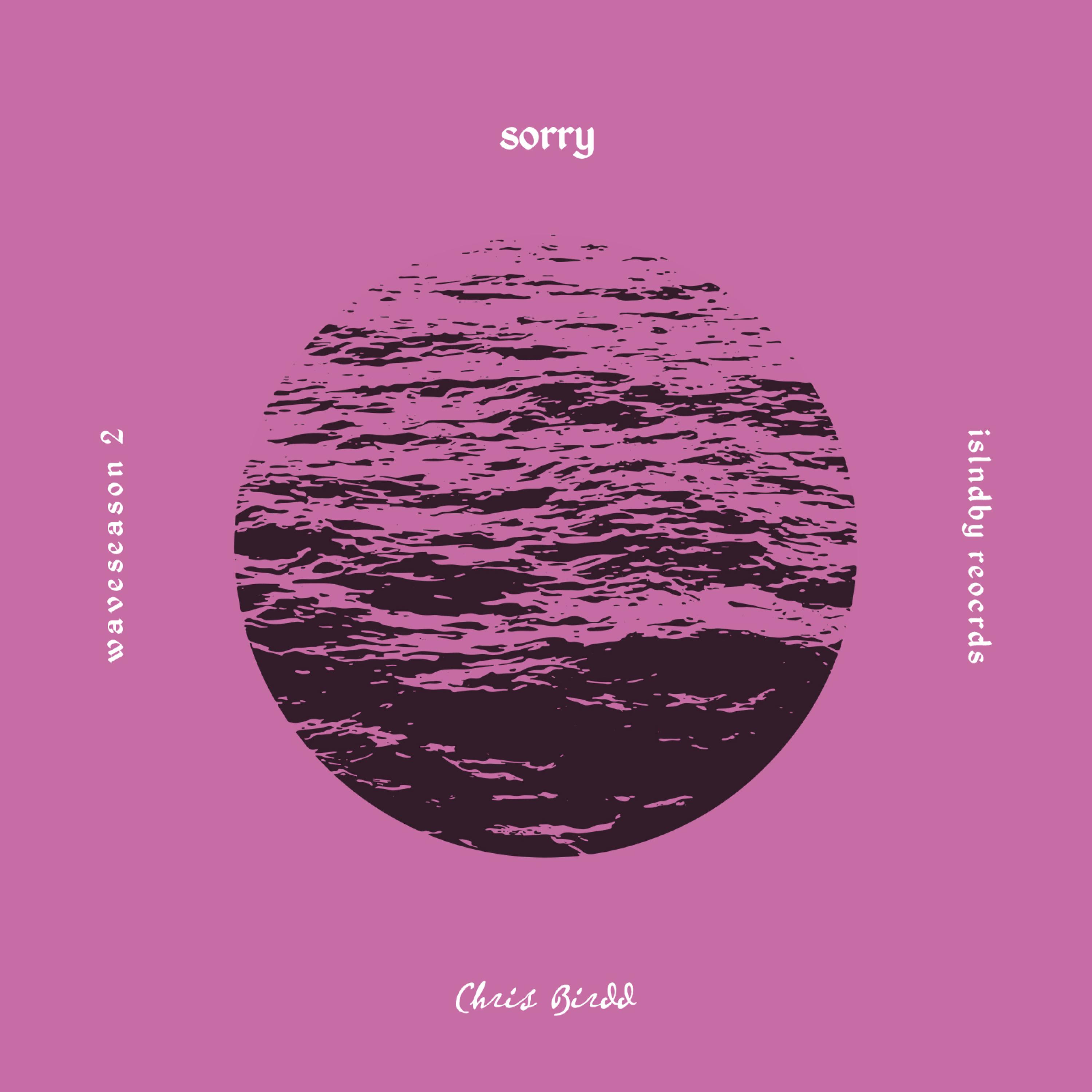 sorry artwork