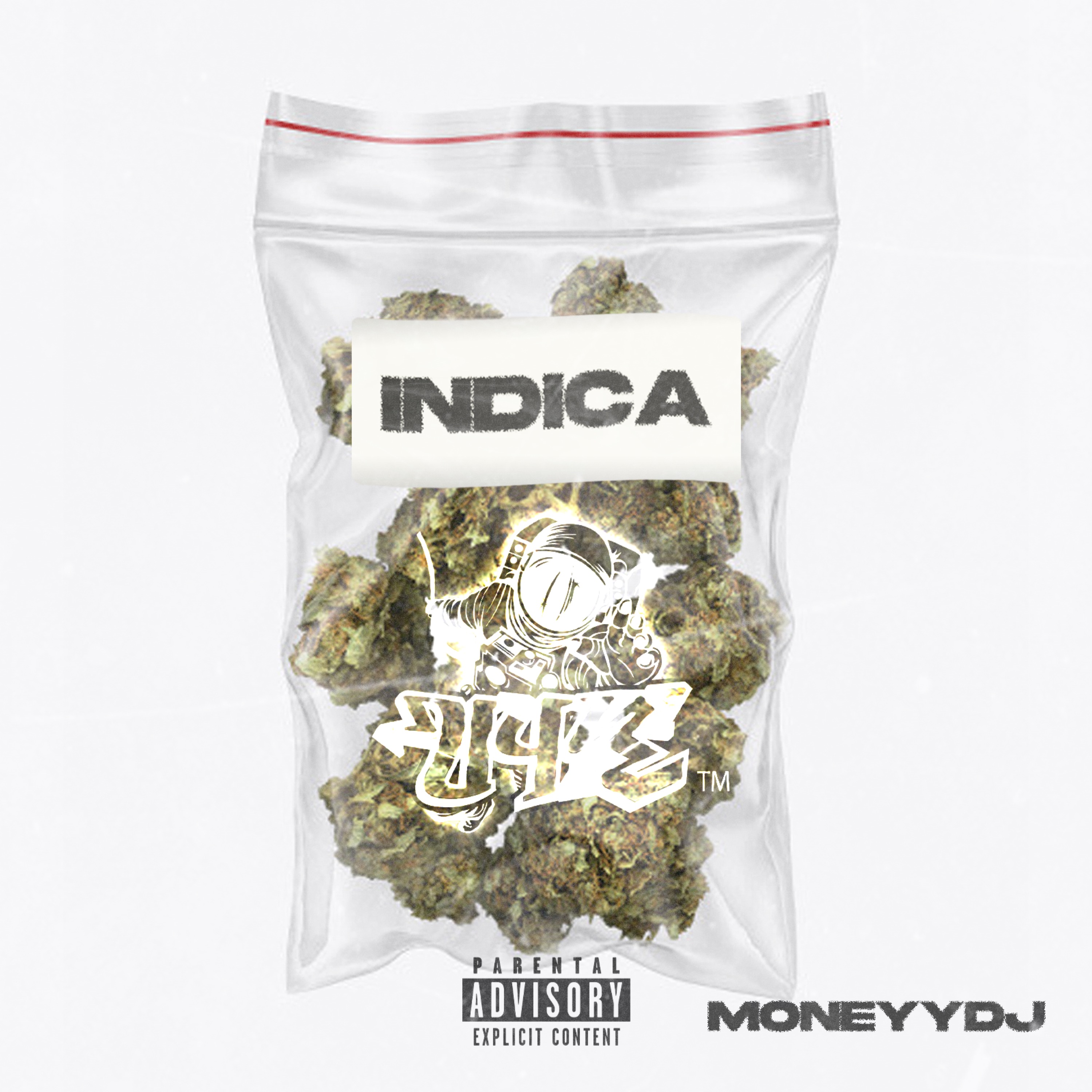 Indica artwork