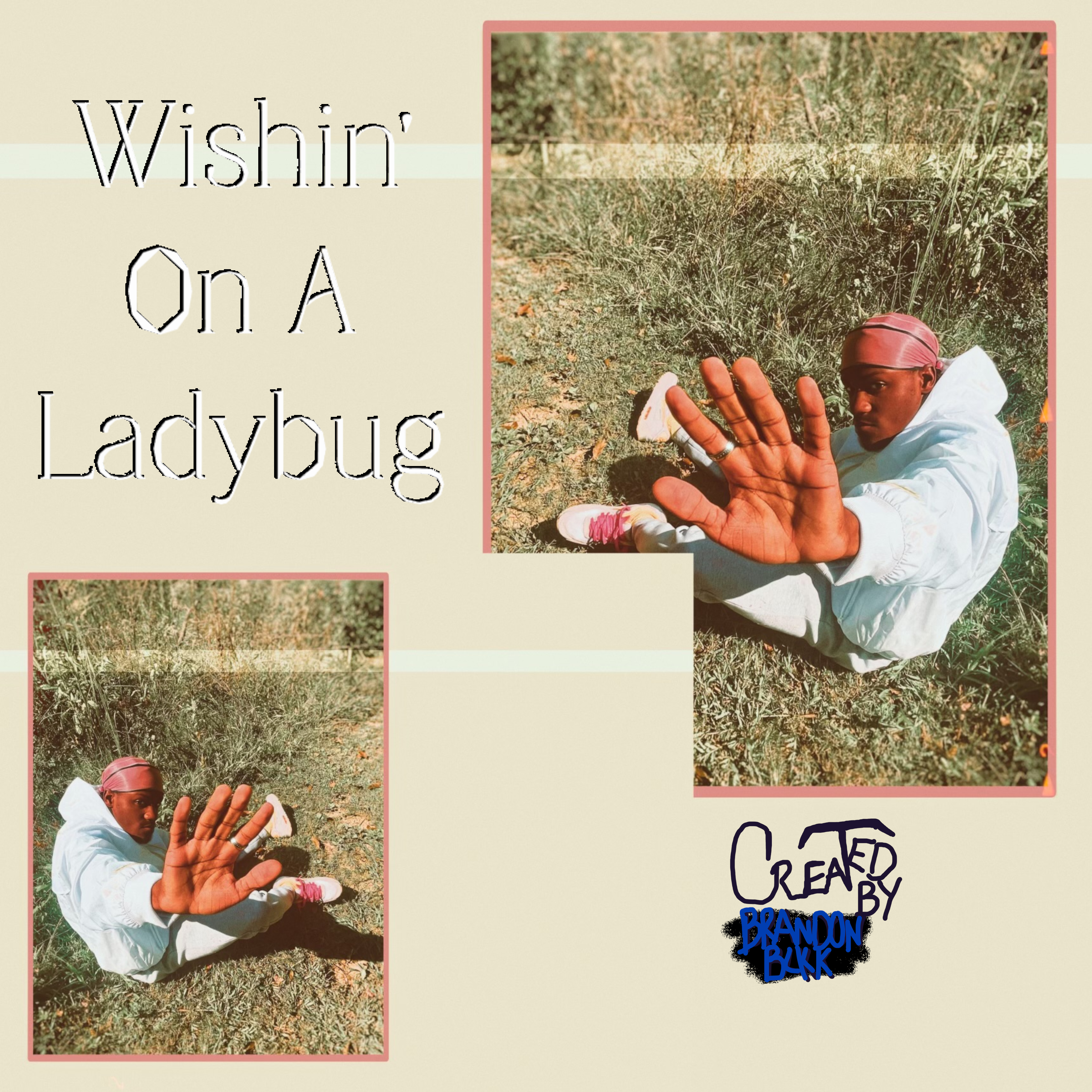 Wishin' On A Ladybug artwork