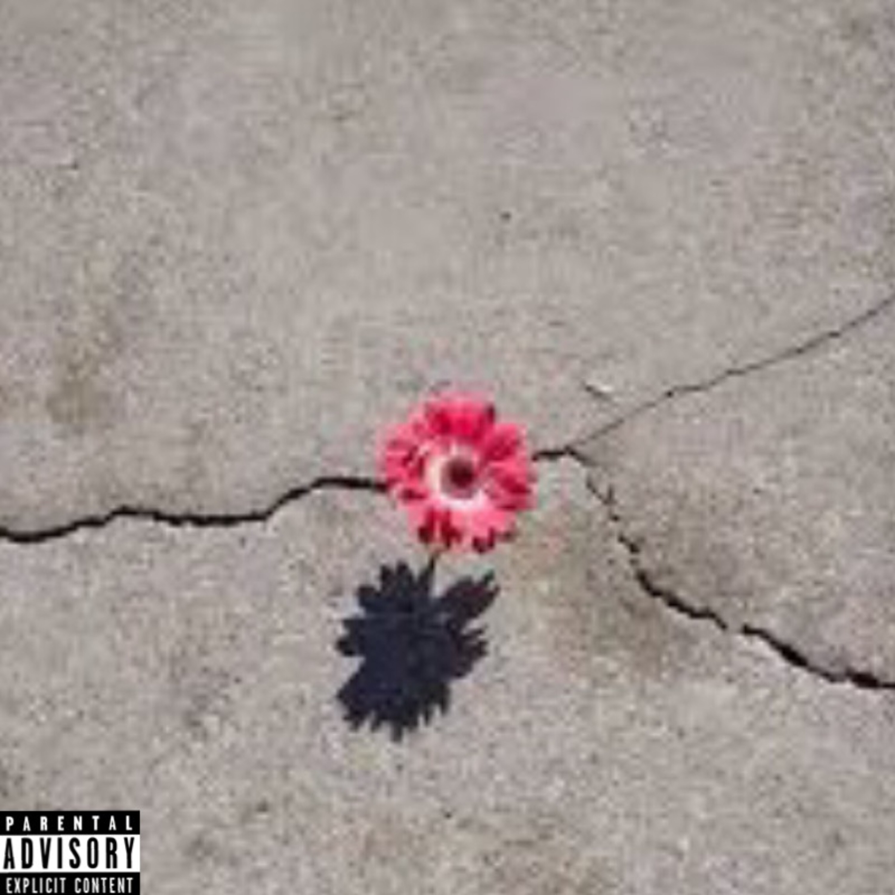 Concrete Flower artwork