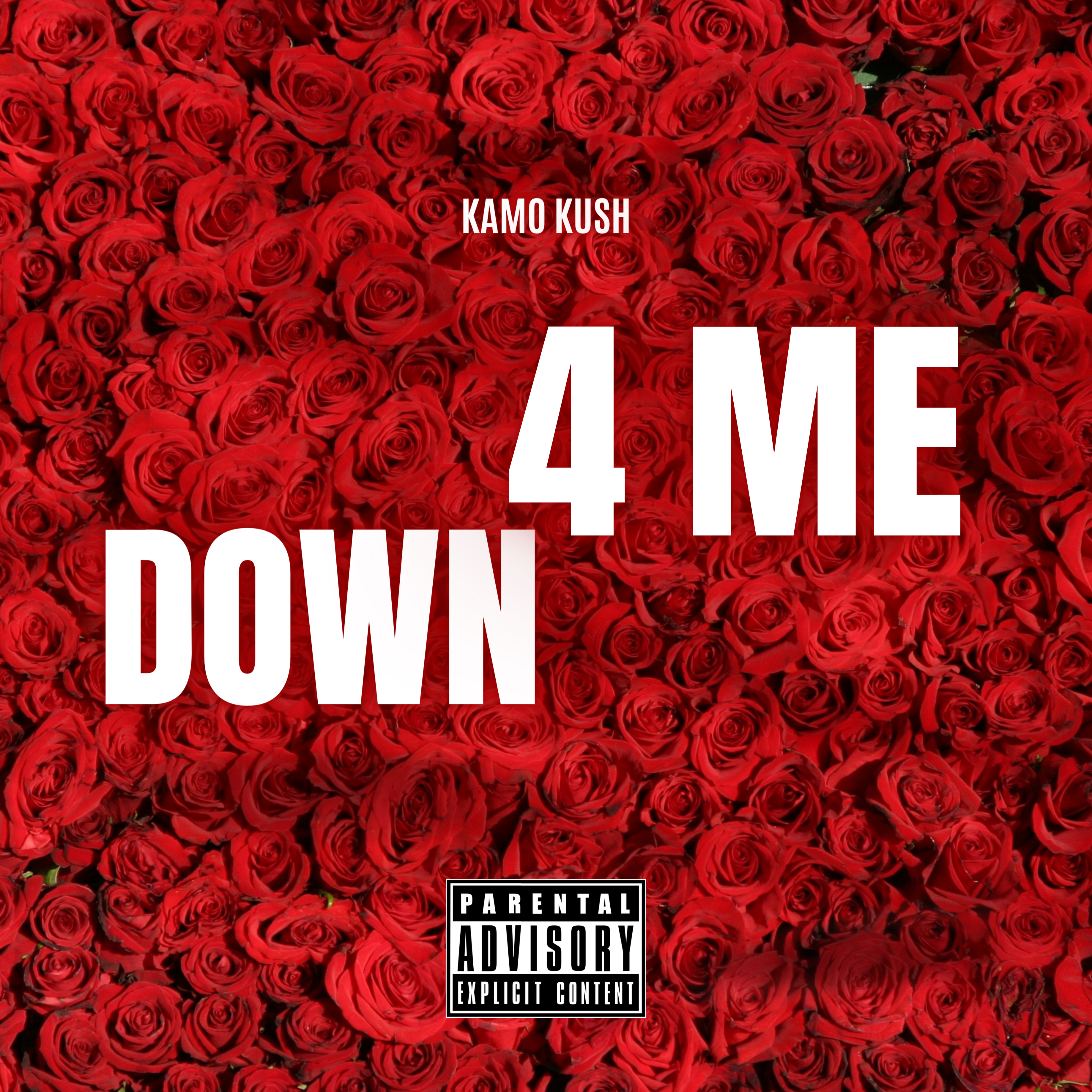 DOWN 4 ME artwork