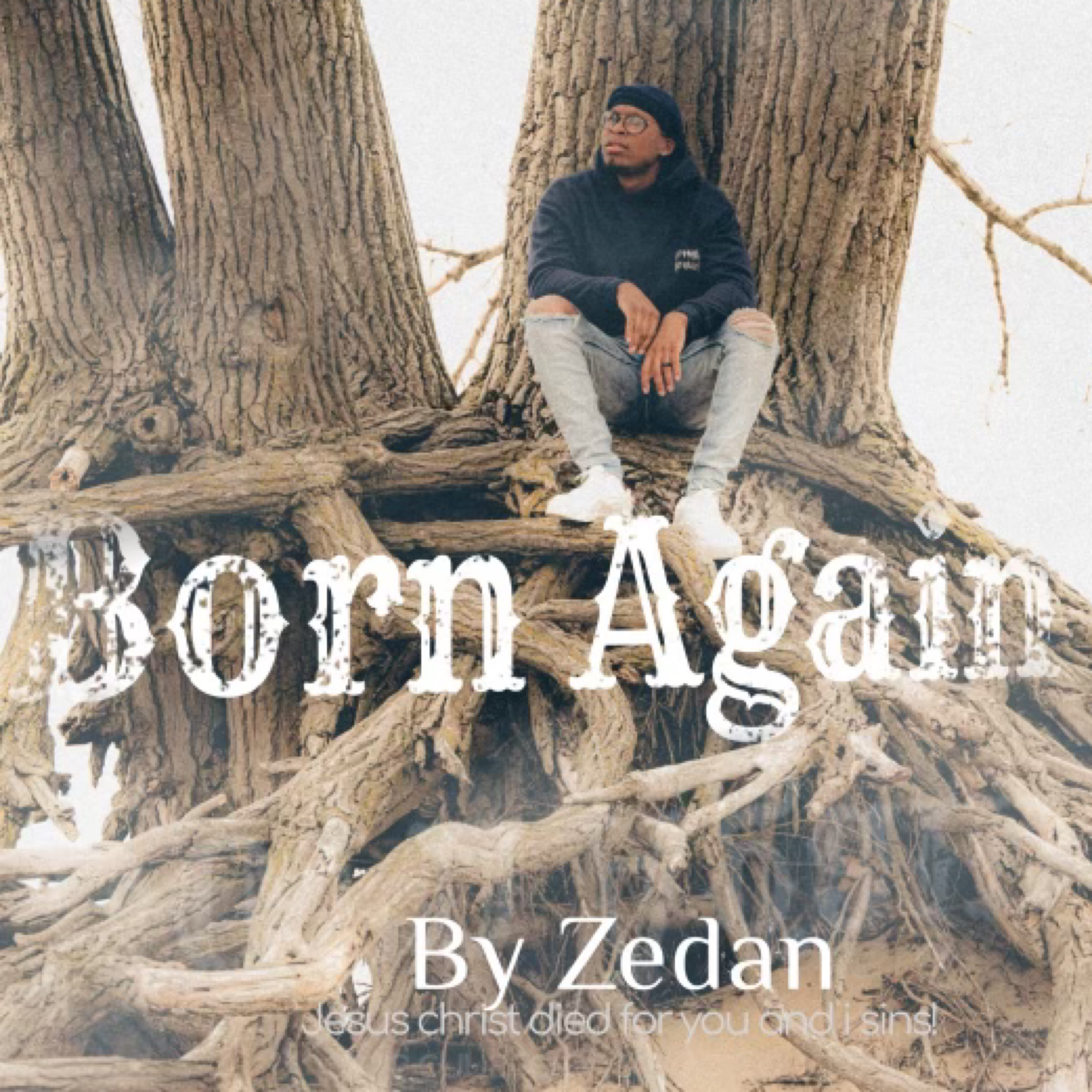 Born Again artwork