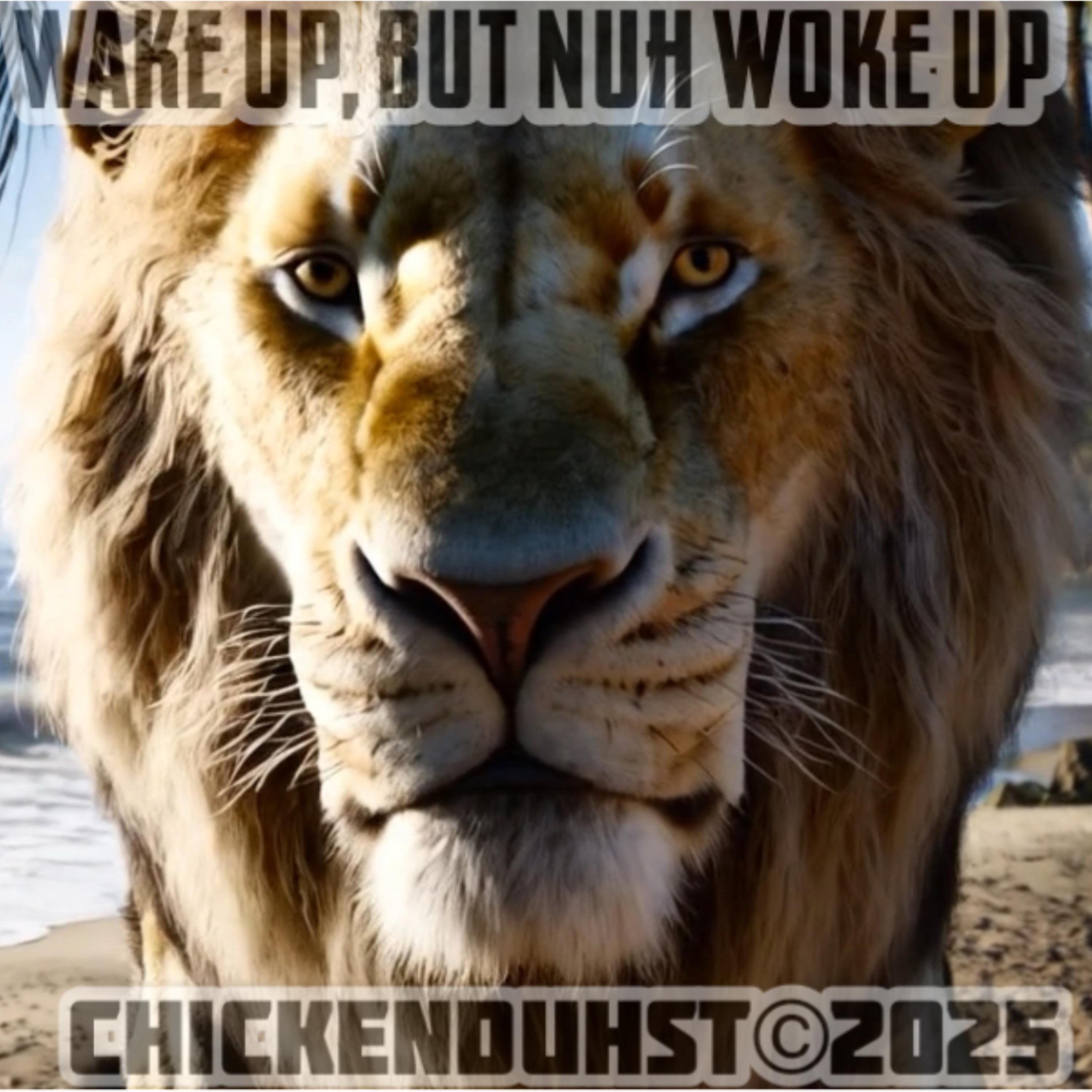 Wake Up, But Nuh Woke Up artwork