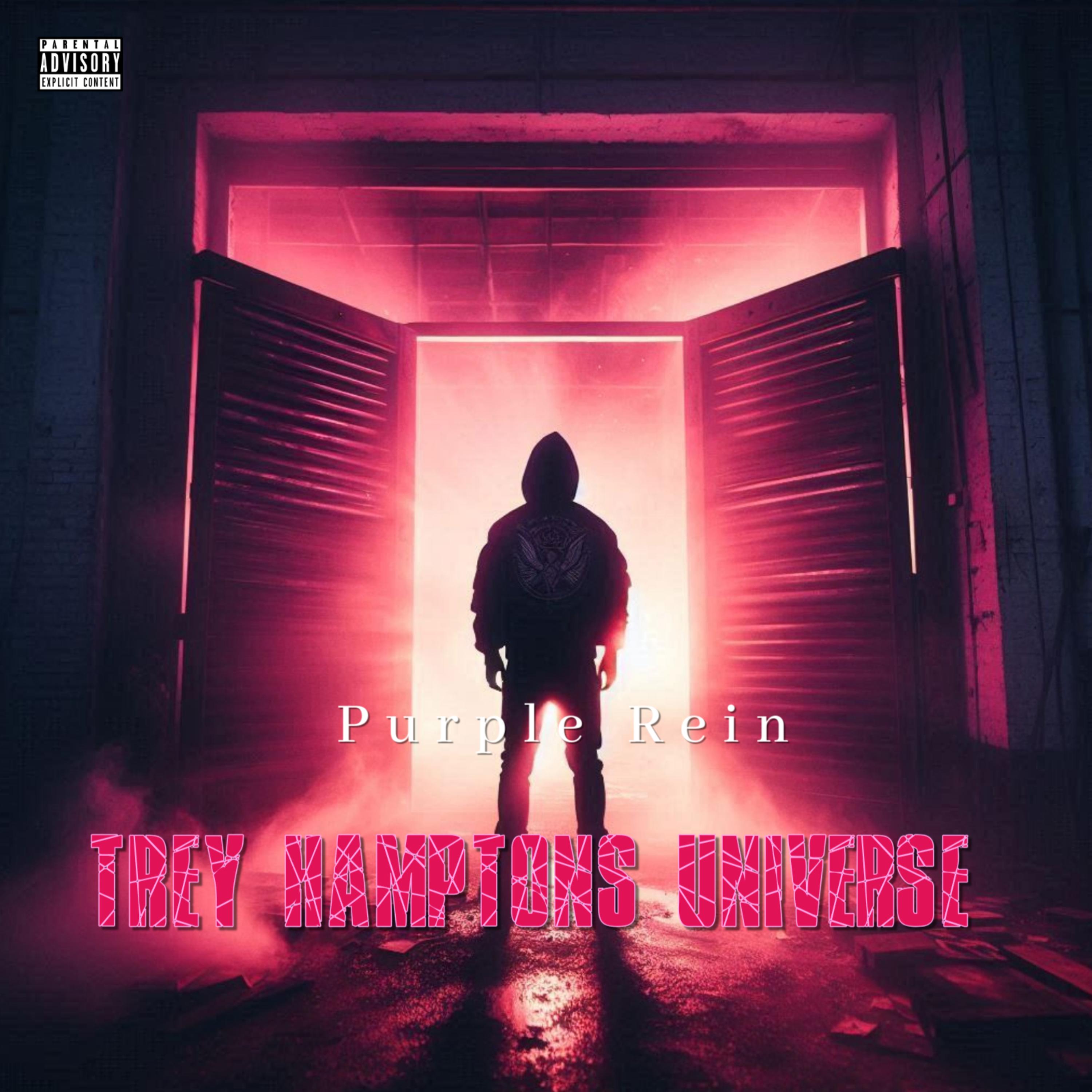 Trey Hamptons Universe artwork