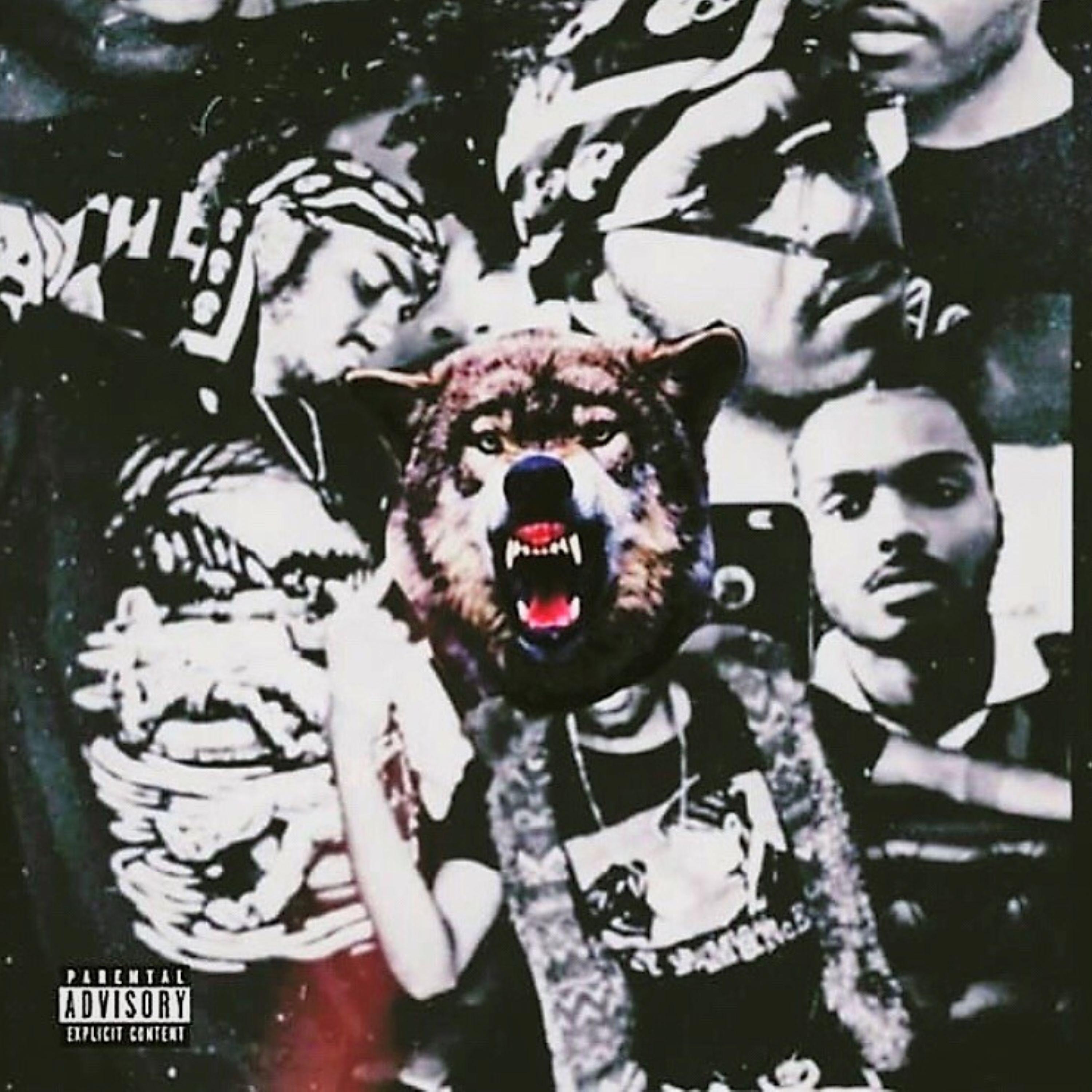 Vlone Wolf artwork