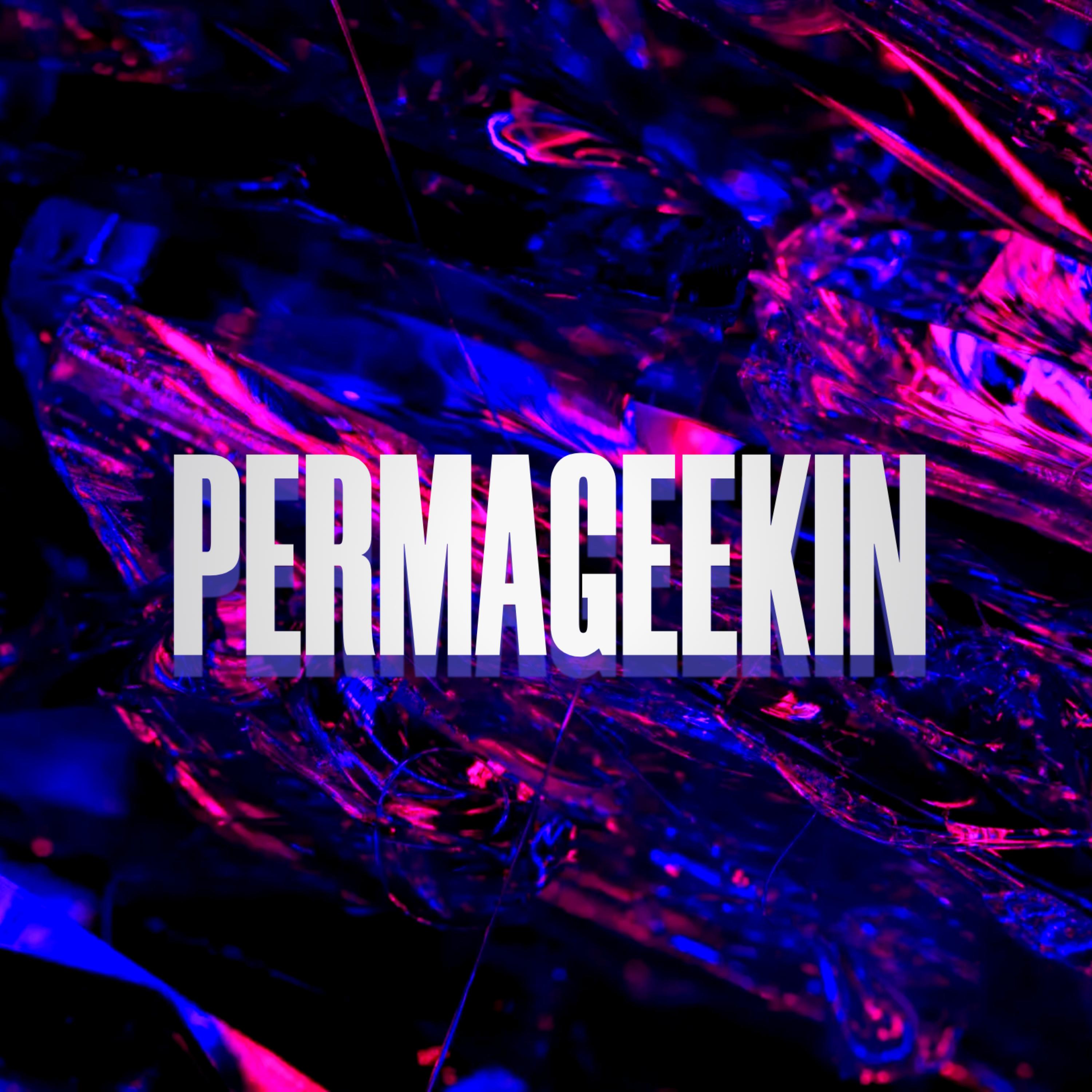 Permageekin by Anweezy cover art