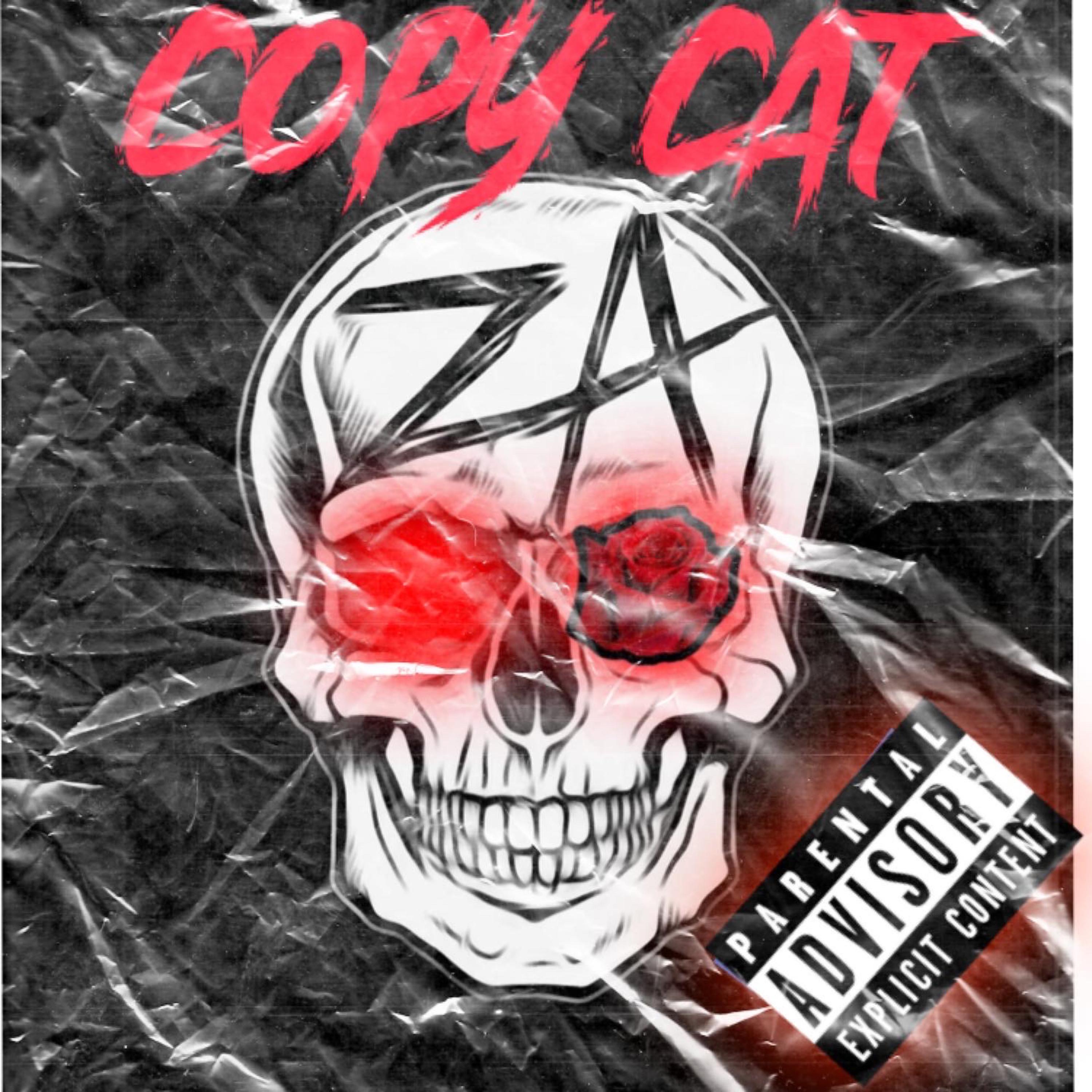COPY CAT artwork