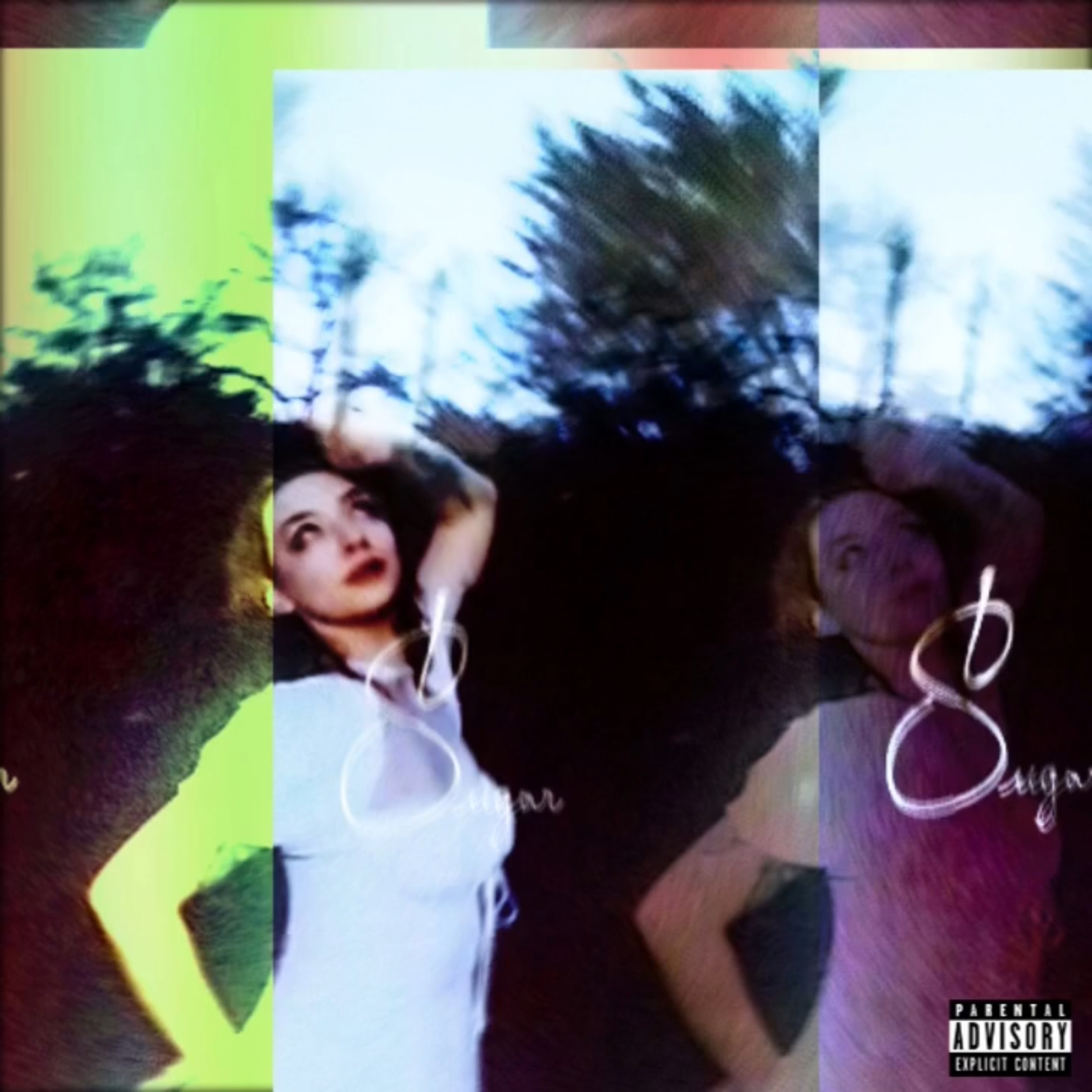 Sugar artwork
