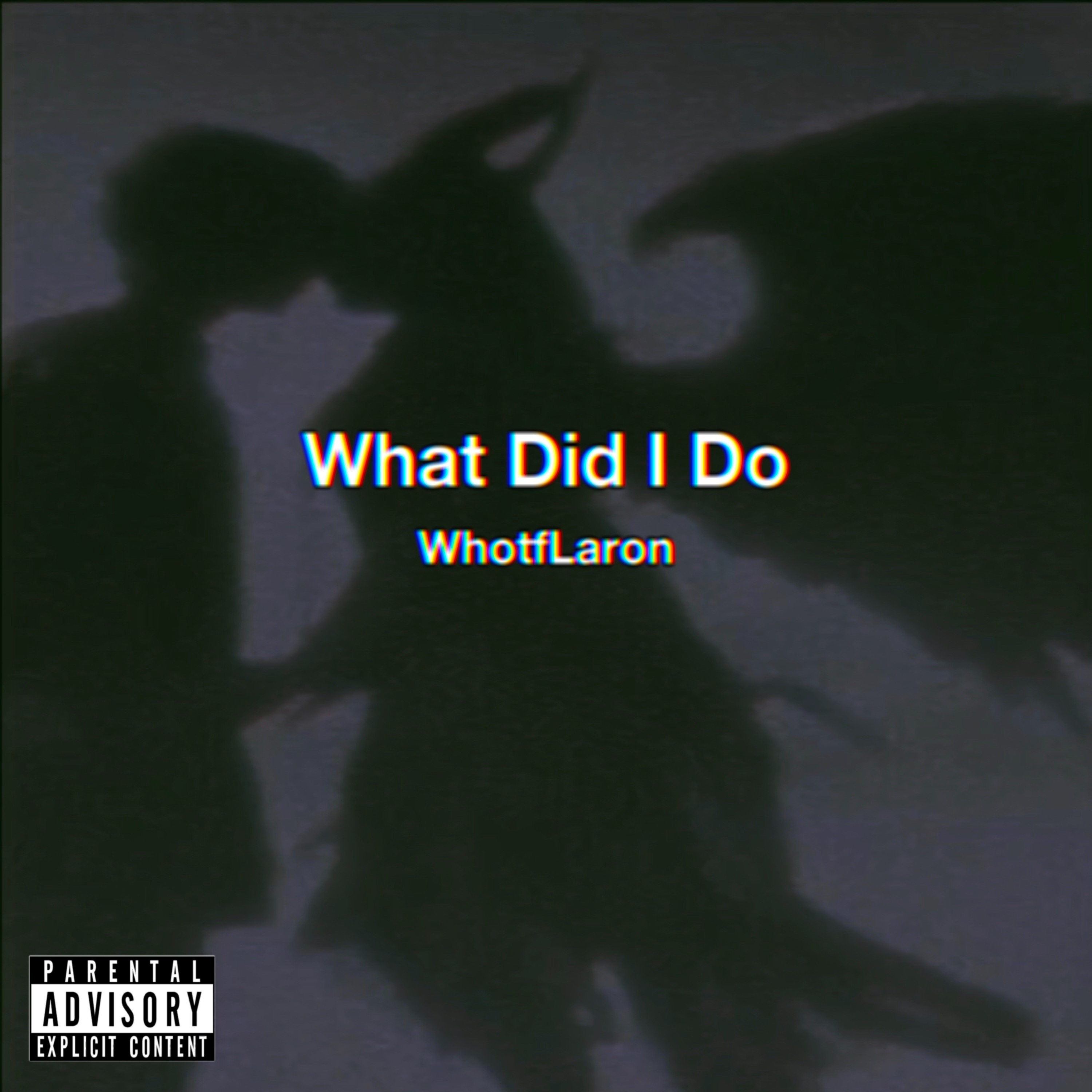 What Did I Do artwork