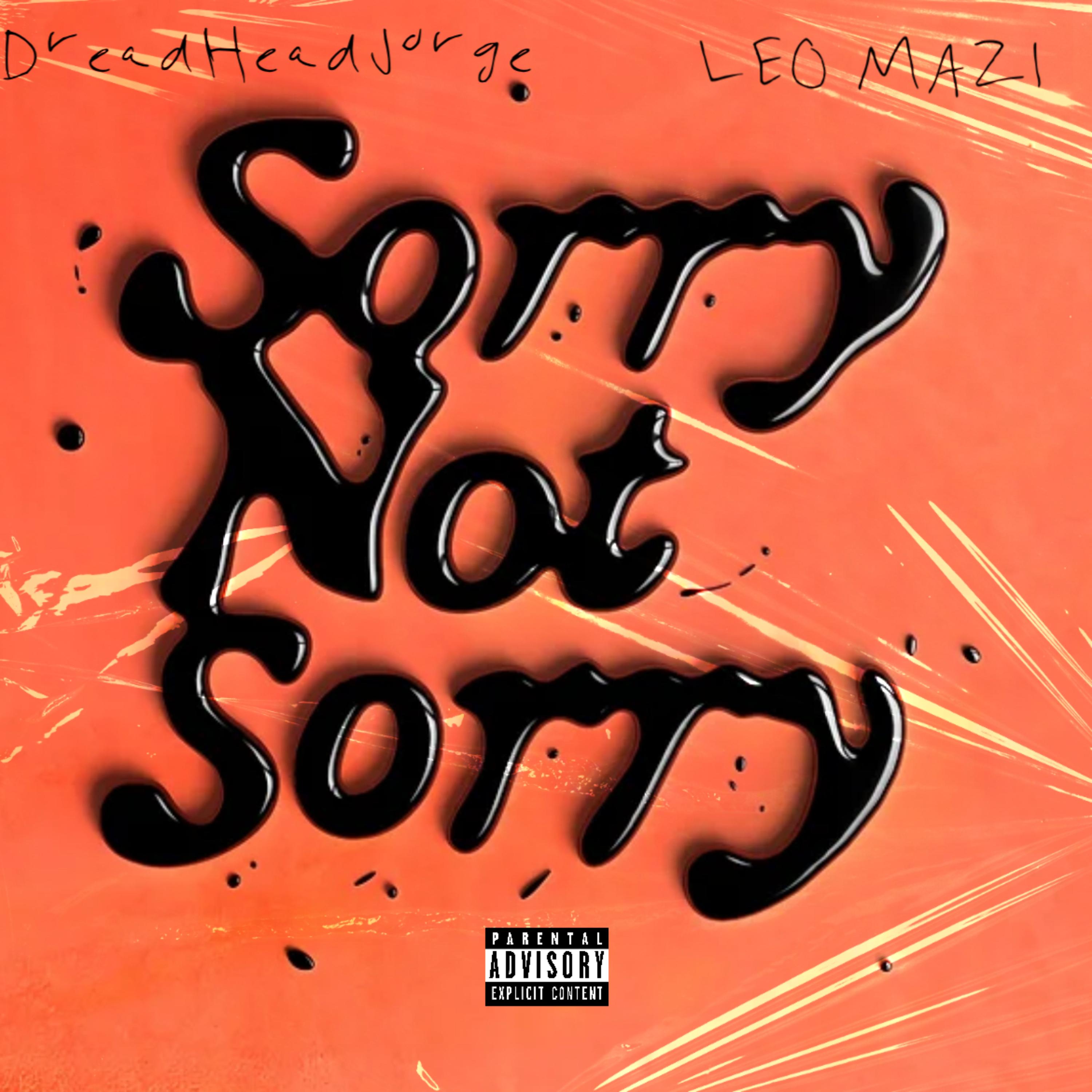 Sorry Not Sorry artwork