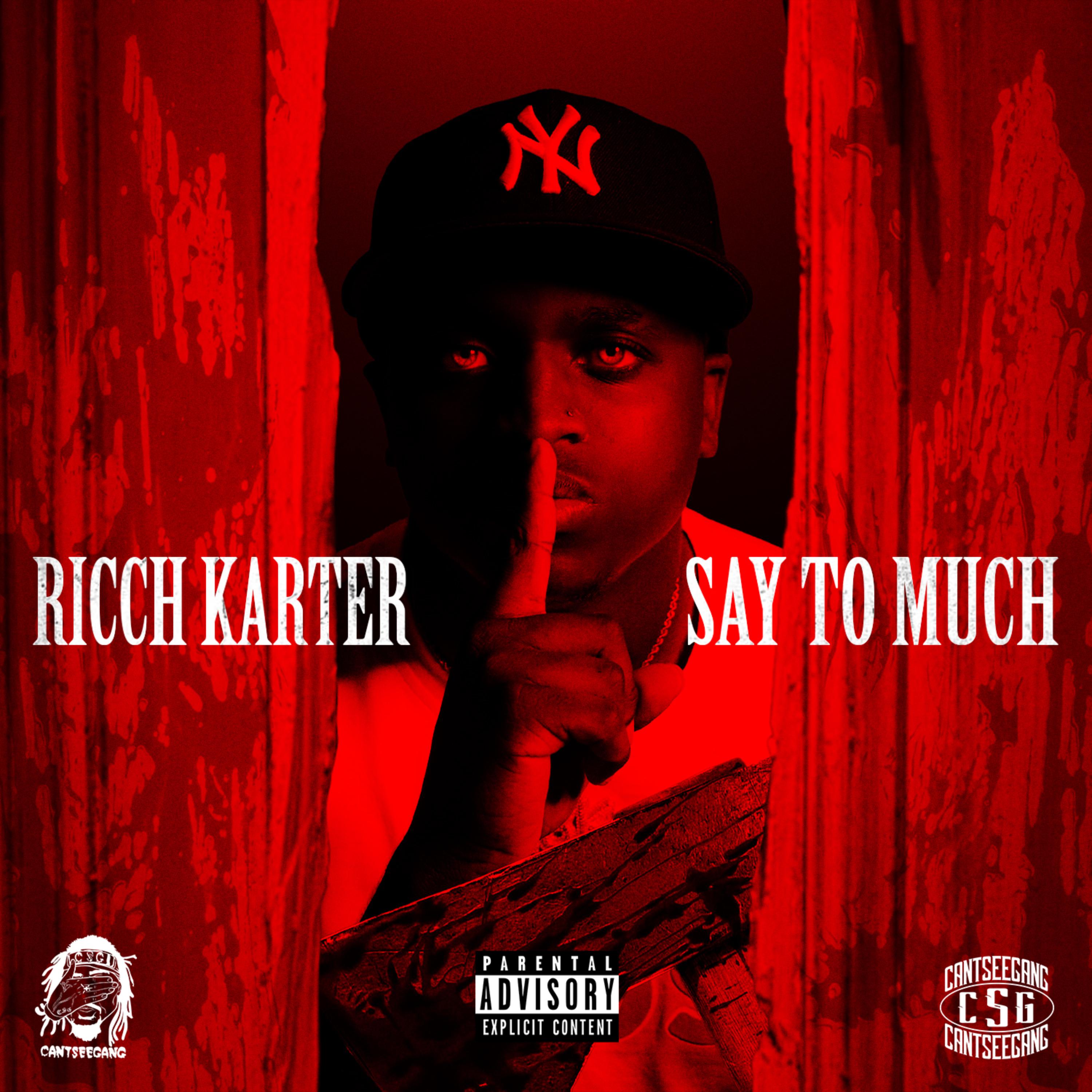 Say To Much artwork