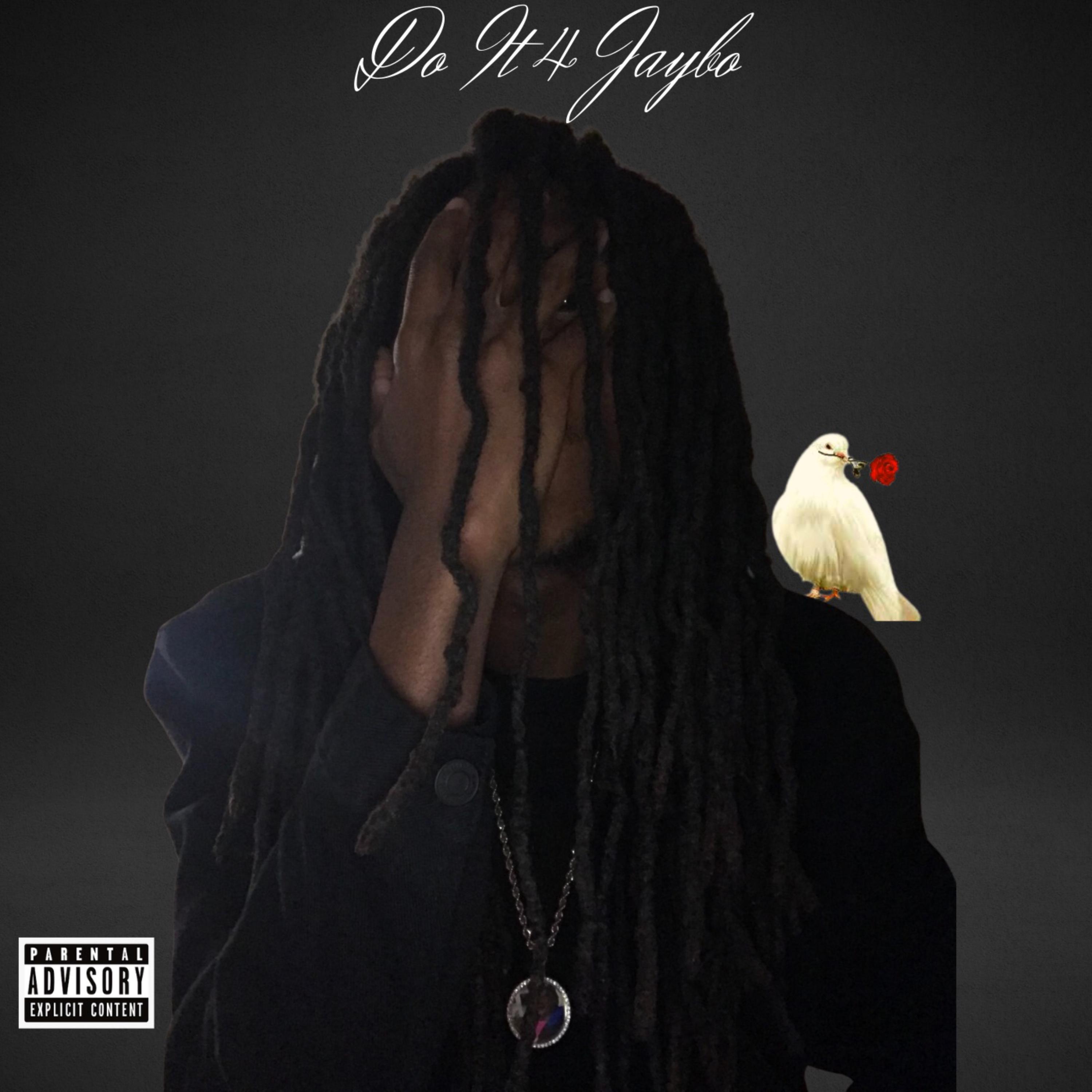 Do It 4 Jaybo artwork