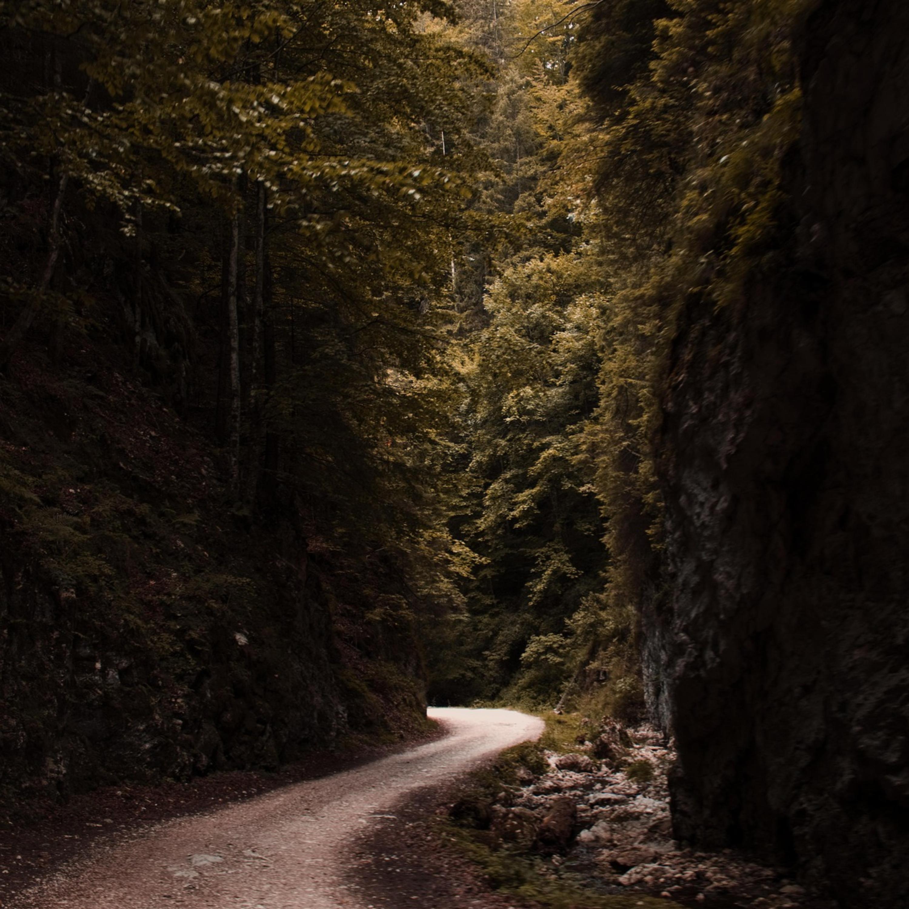 dirt road code artwork