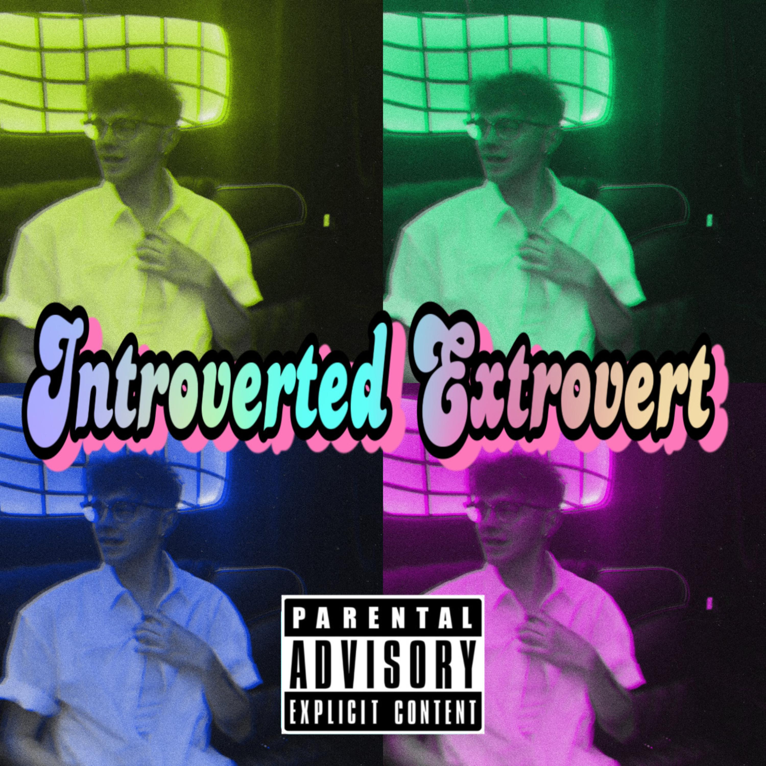 Introverted Extrovert artwork