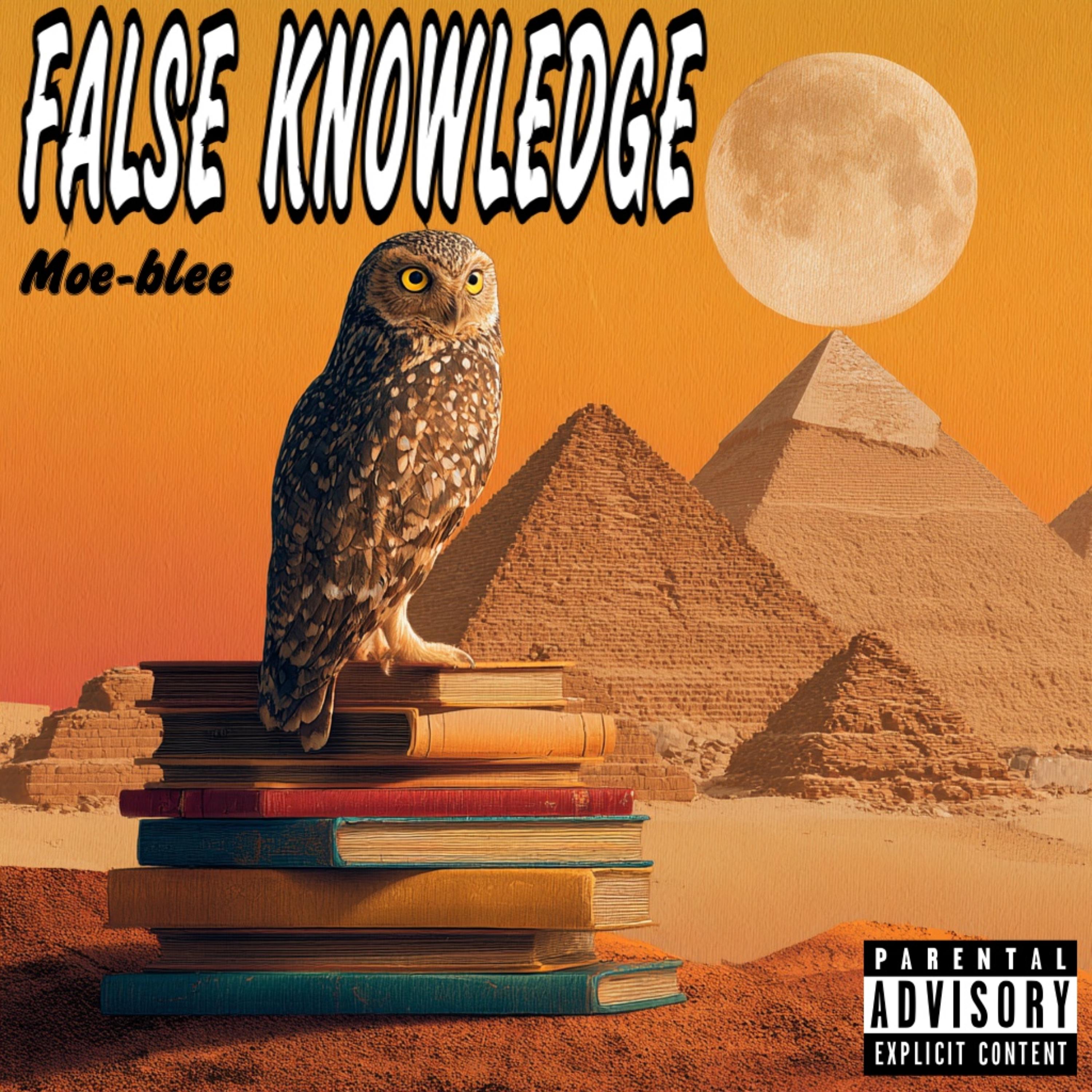 False Knowledge artwork