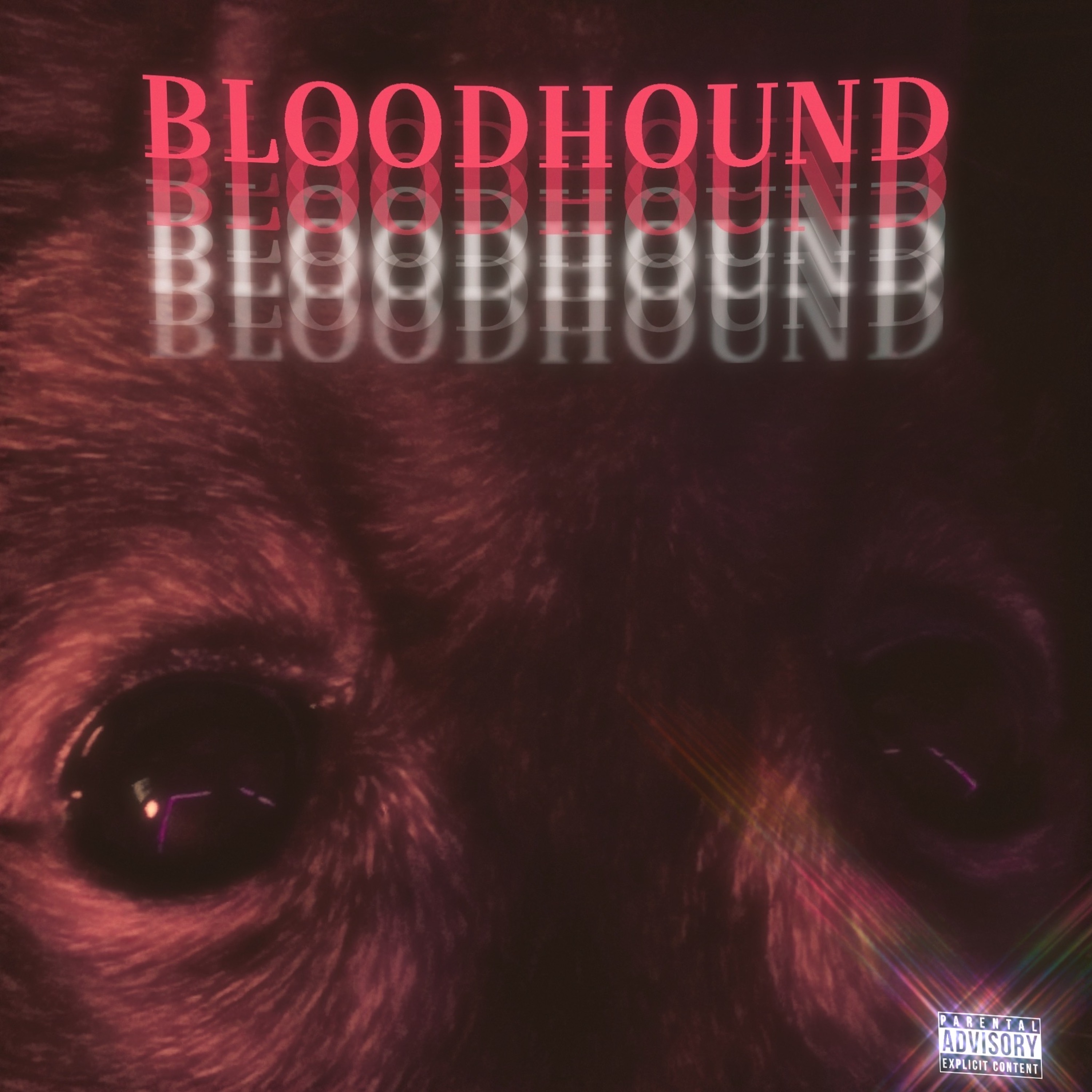 bloodhound artwork