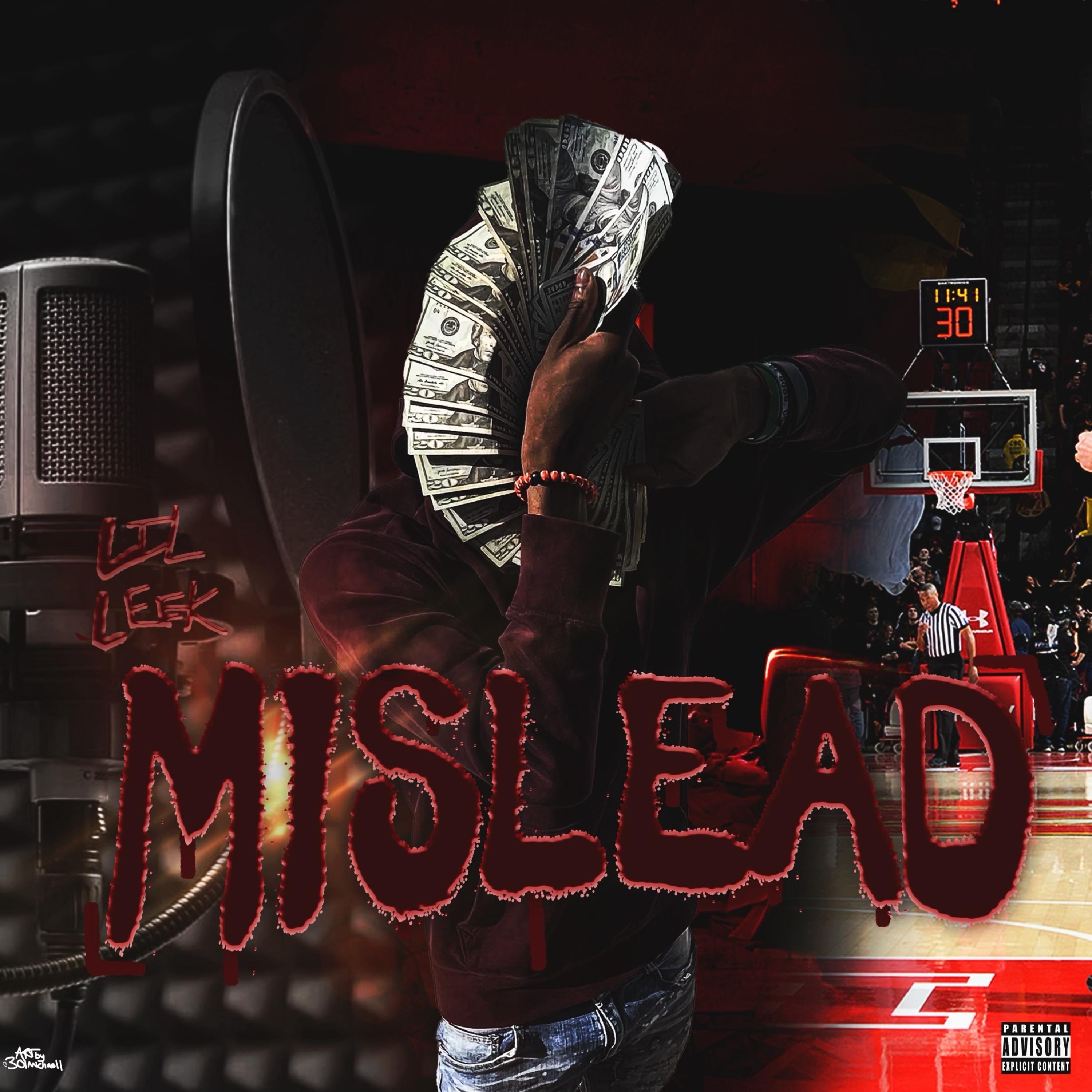 Mislead artwork