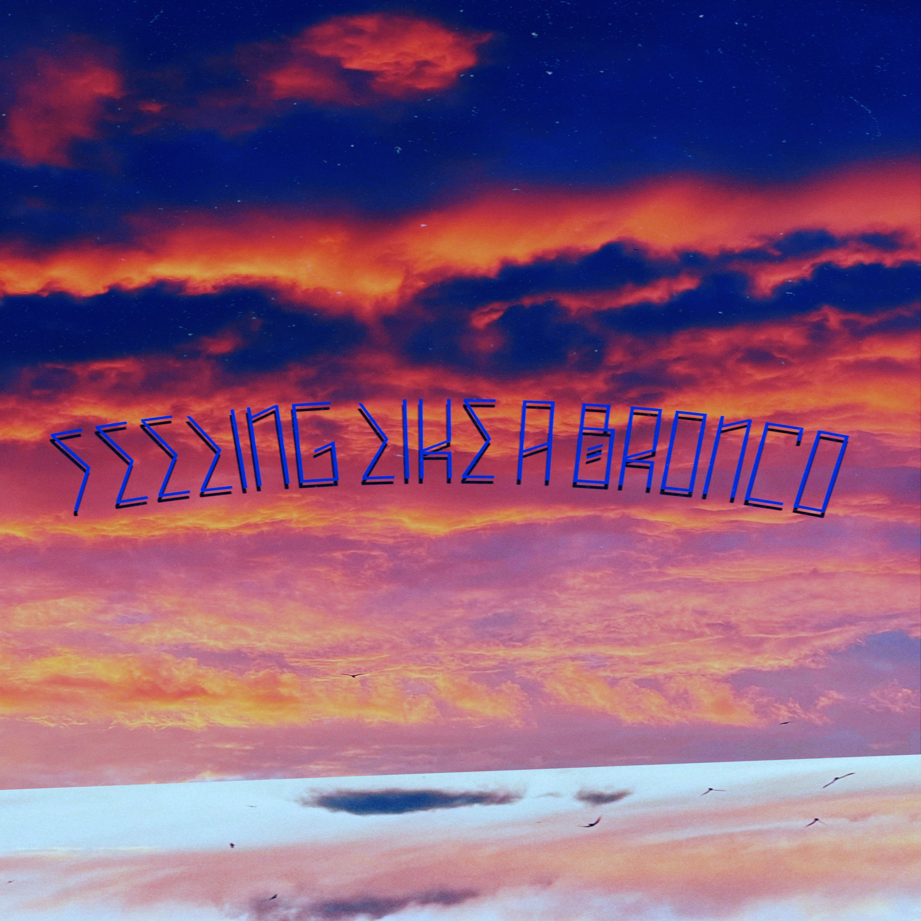 Feeling Like A Bronco by Tae Silvers cover art