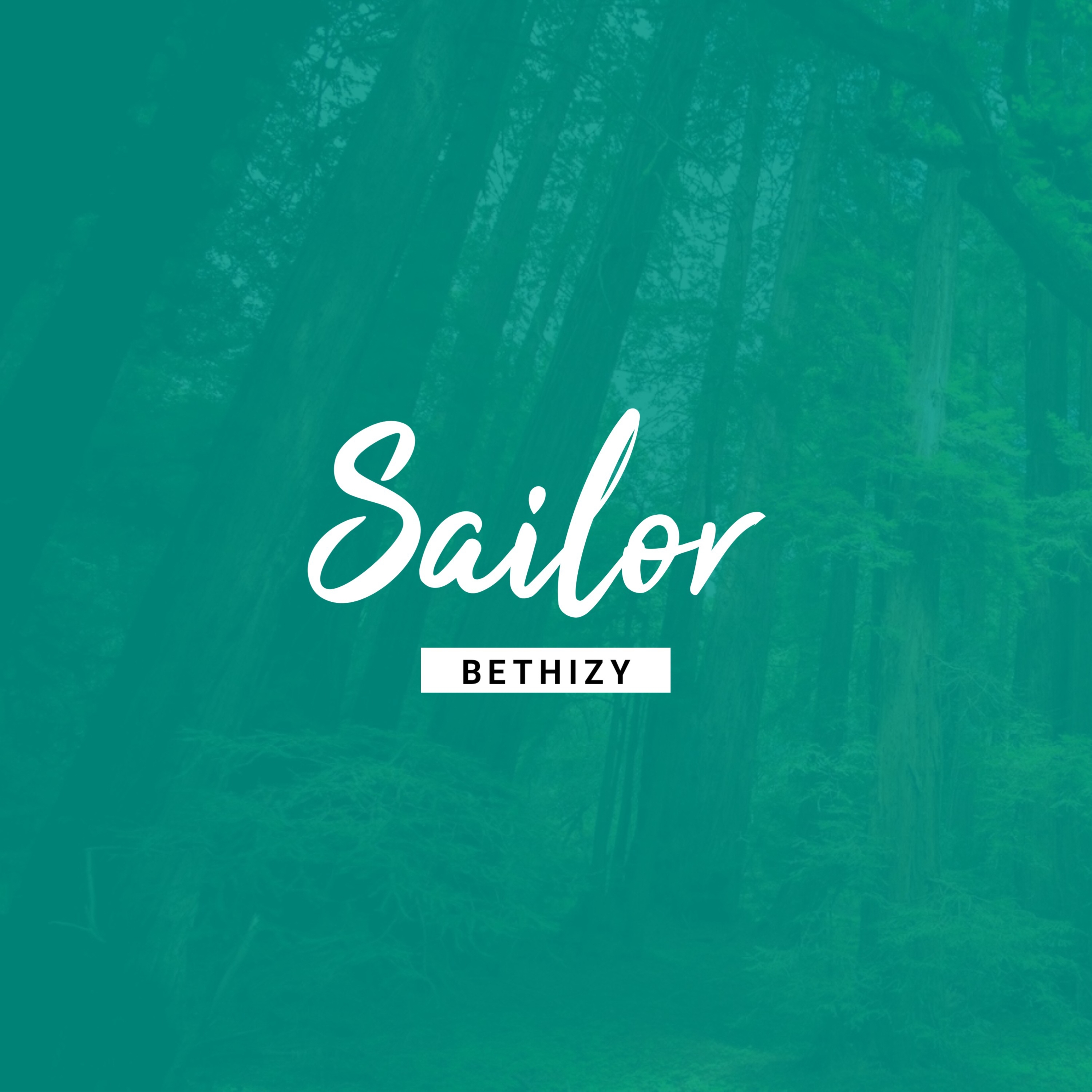 Sailor artwork