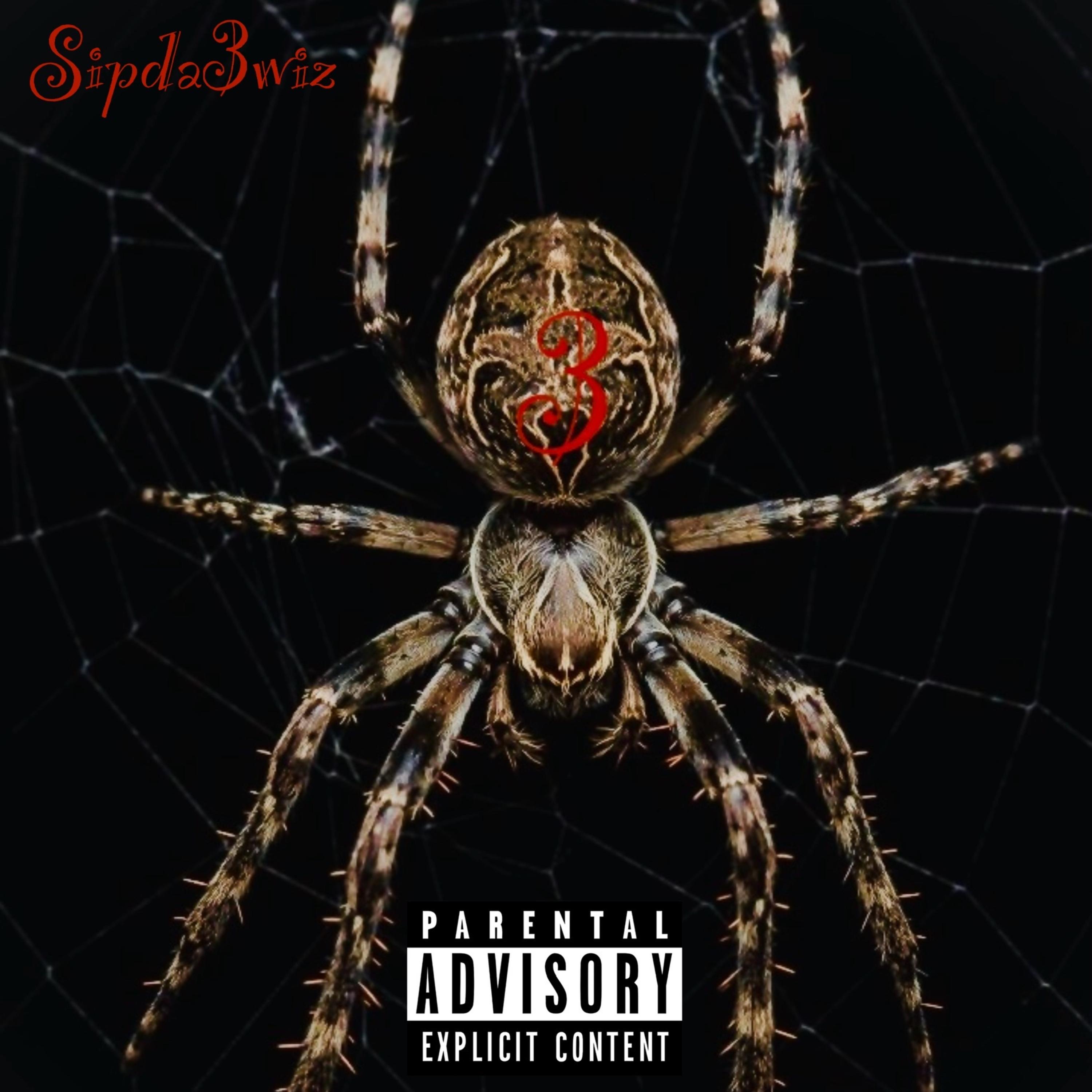 Spida3wiz artwork