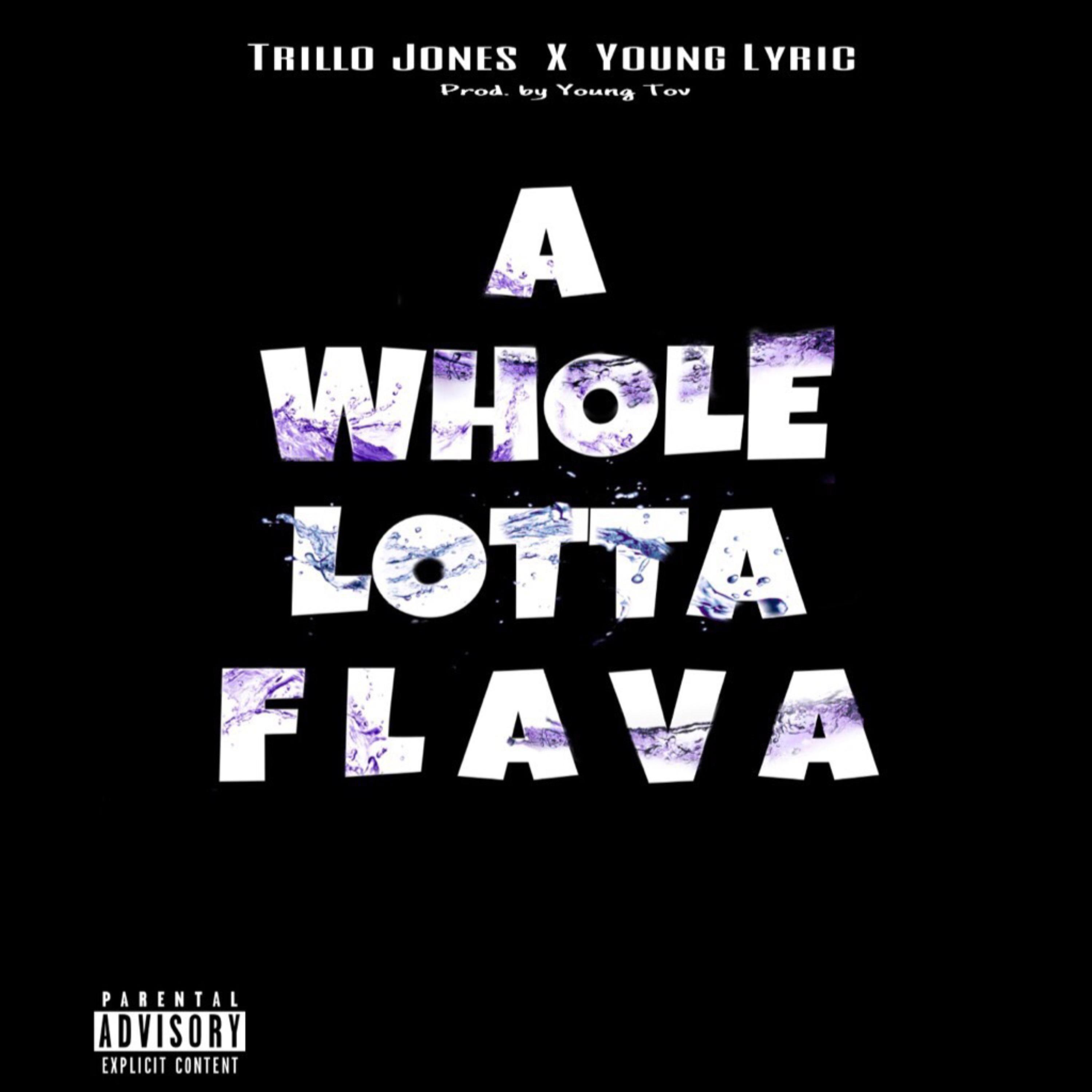 A Whole Lotta Flava by Trillo Jones cover art