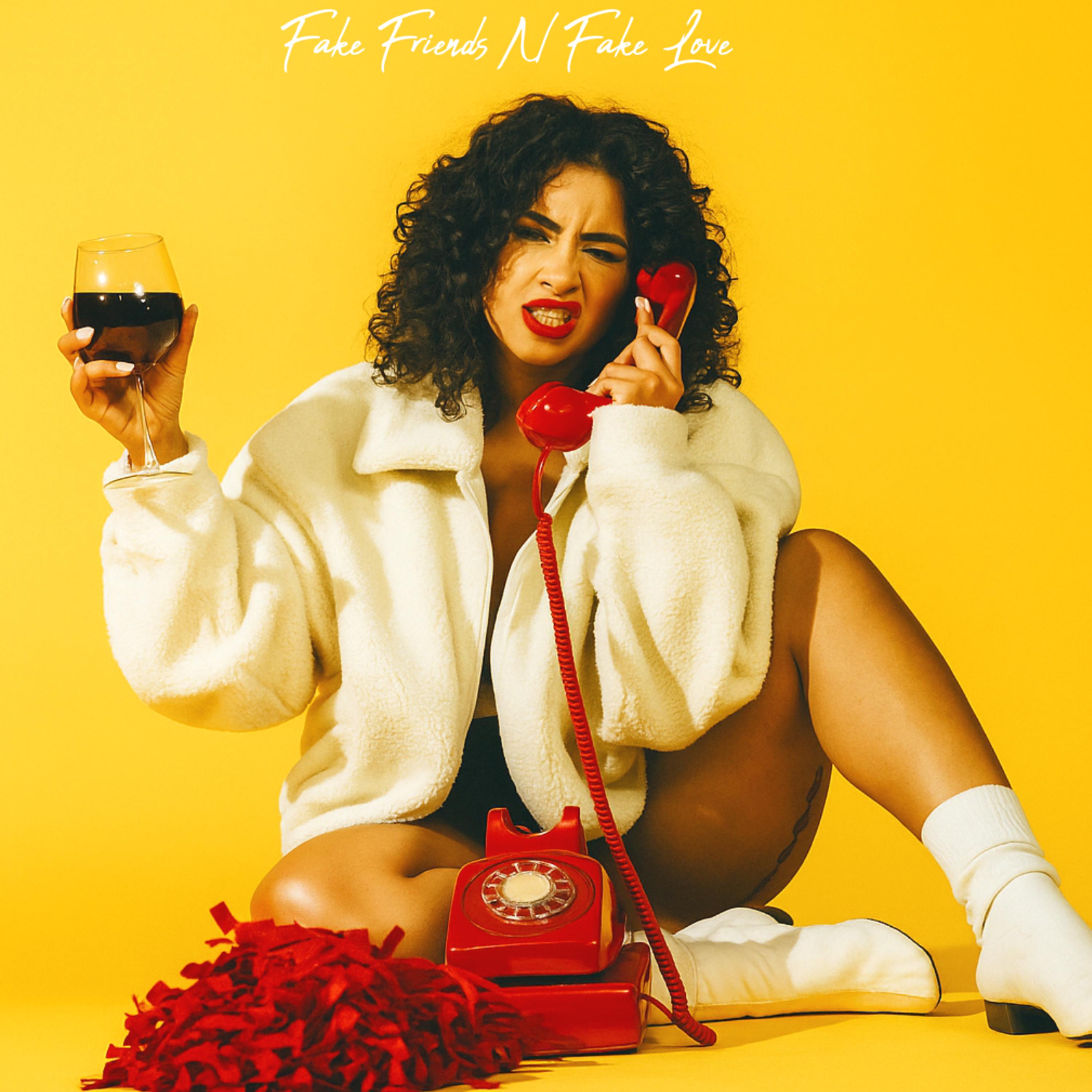 Fake Friends N Fake Love artwork