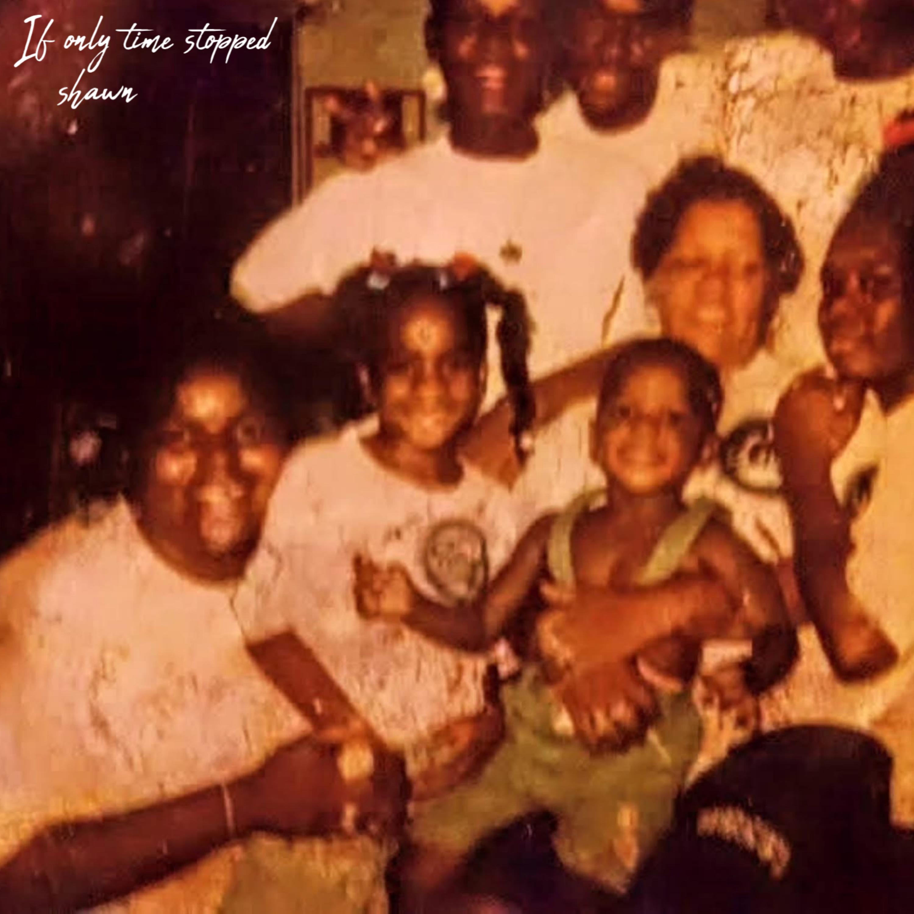 If Only Time Stopped by Shawn2Legit cover art