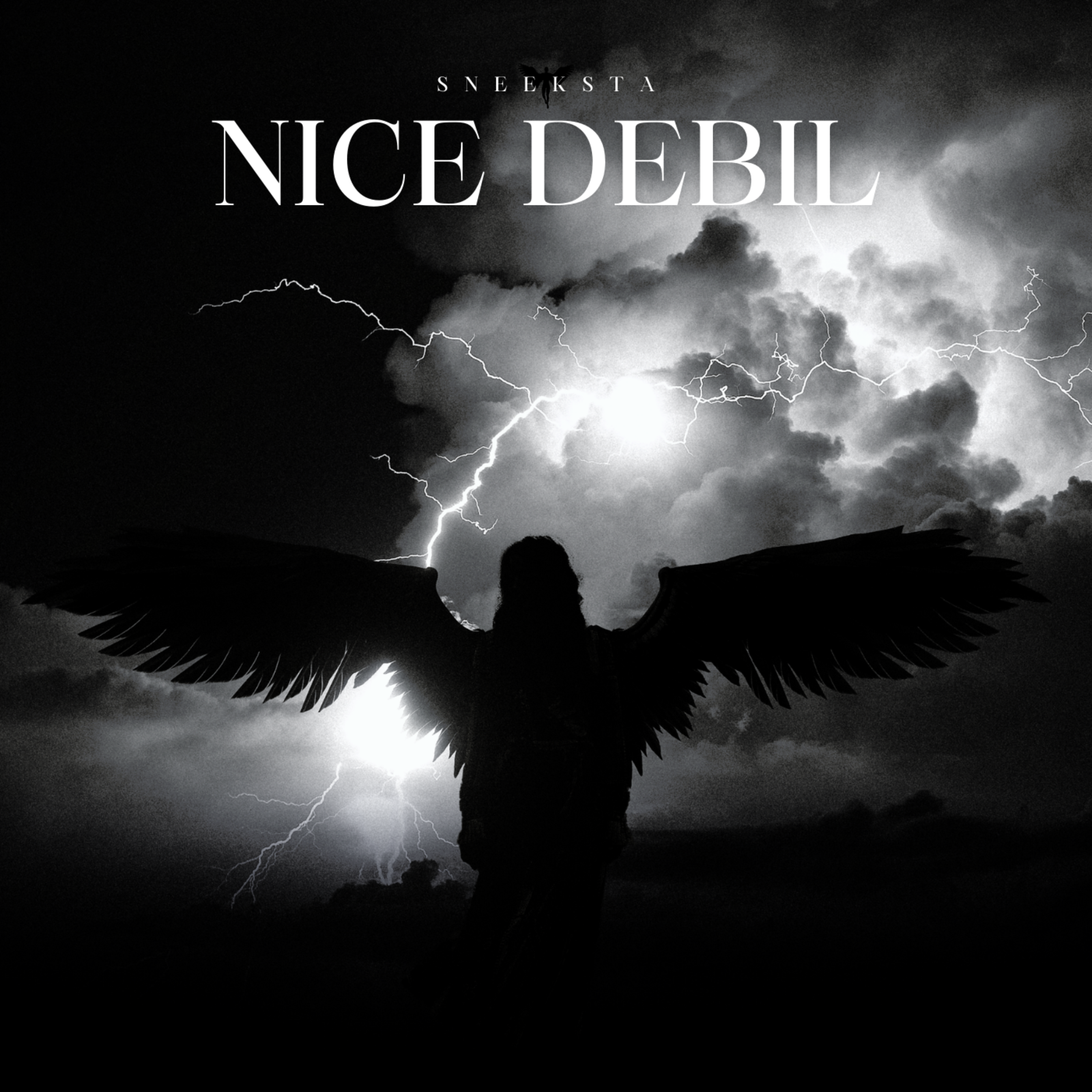 Nice deBil artwork