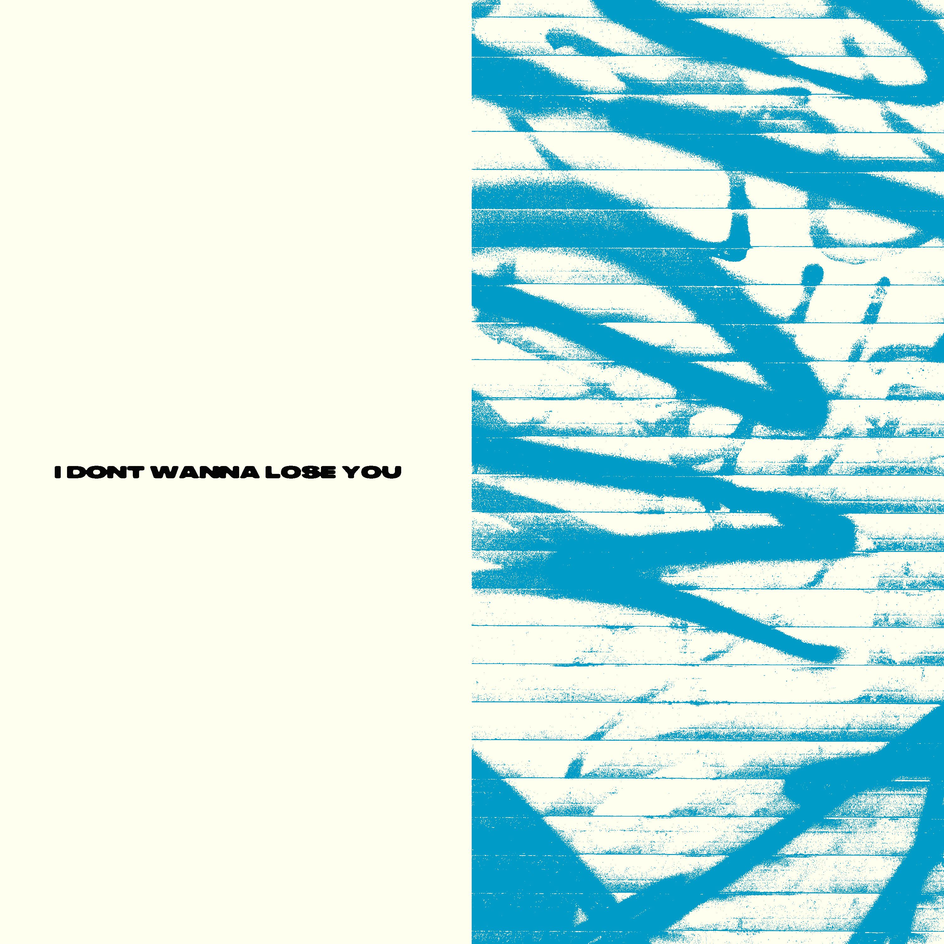 I Don't Wanna Lose You artwork