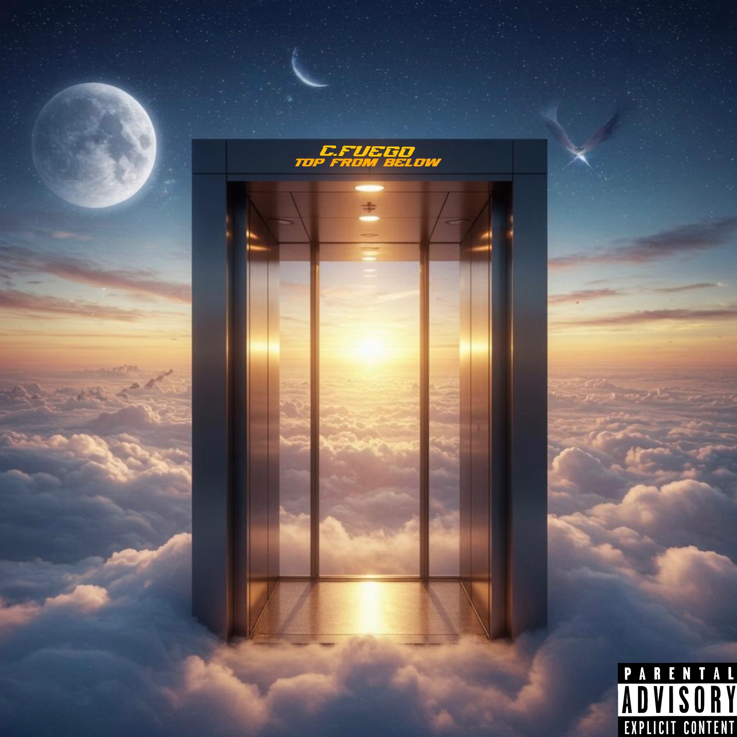 TOP FROM BELOW artwork