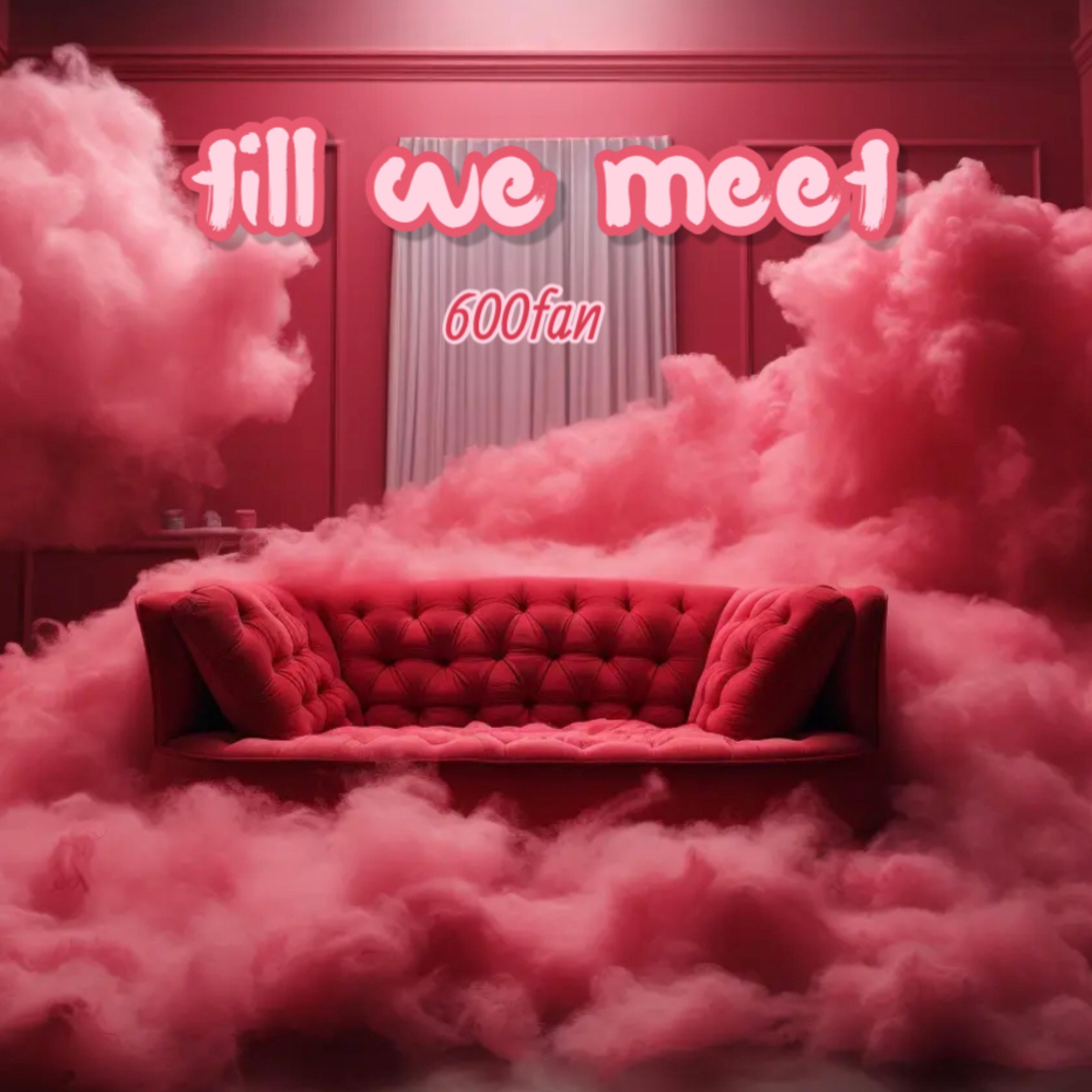Til We Meet artwork