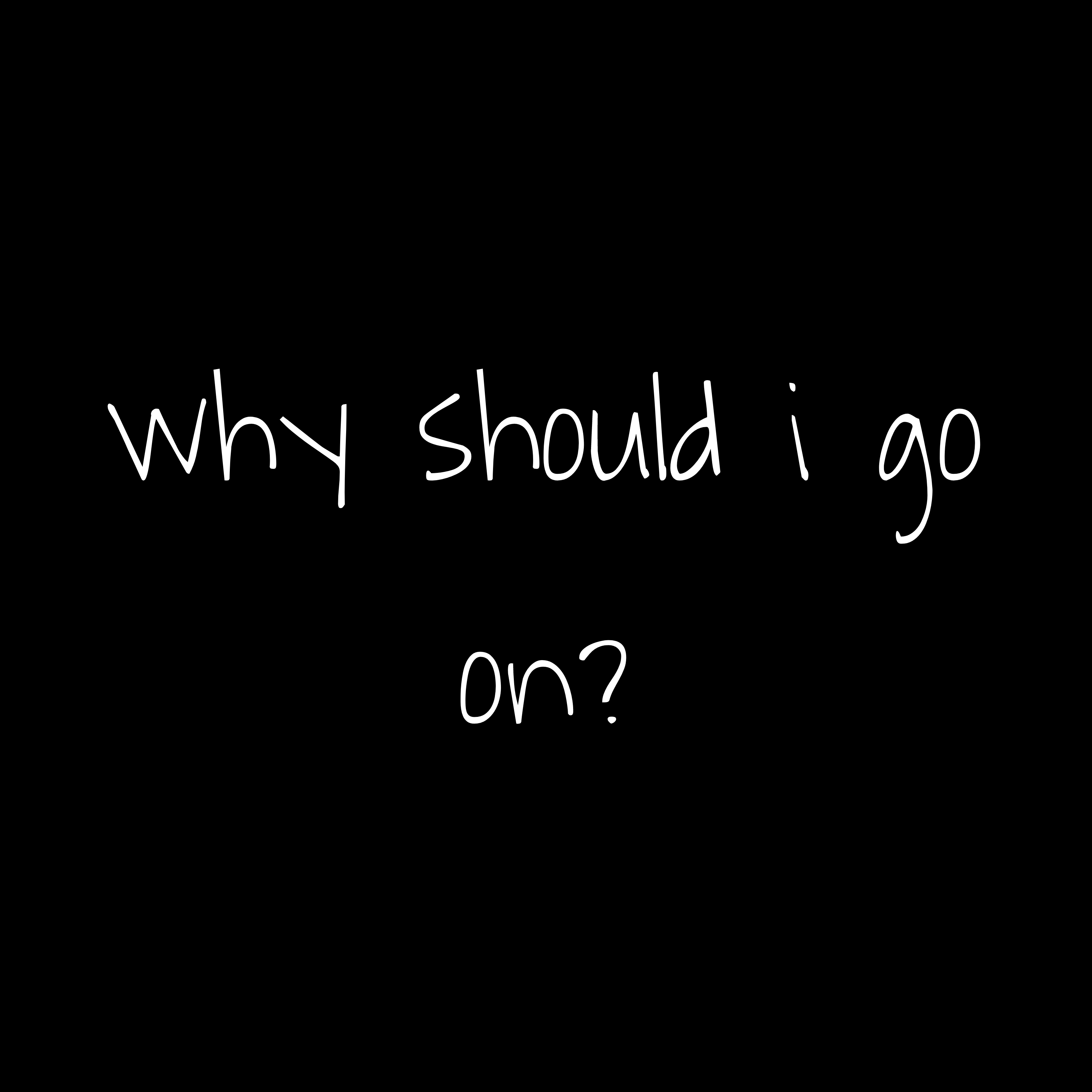 why should i go on? artwork
