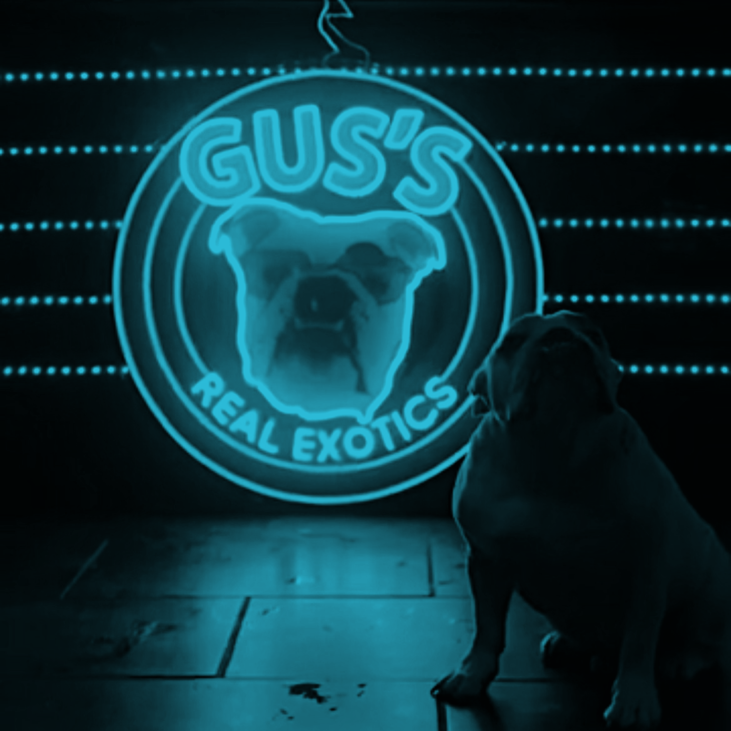 Gus's Real Exotics artwork