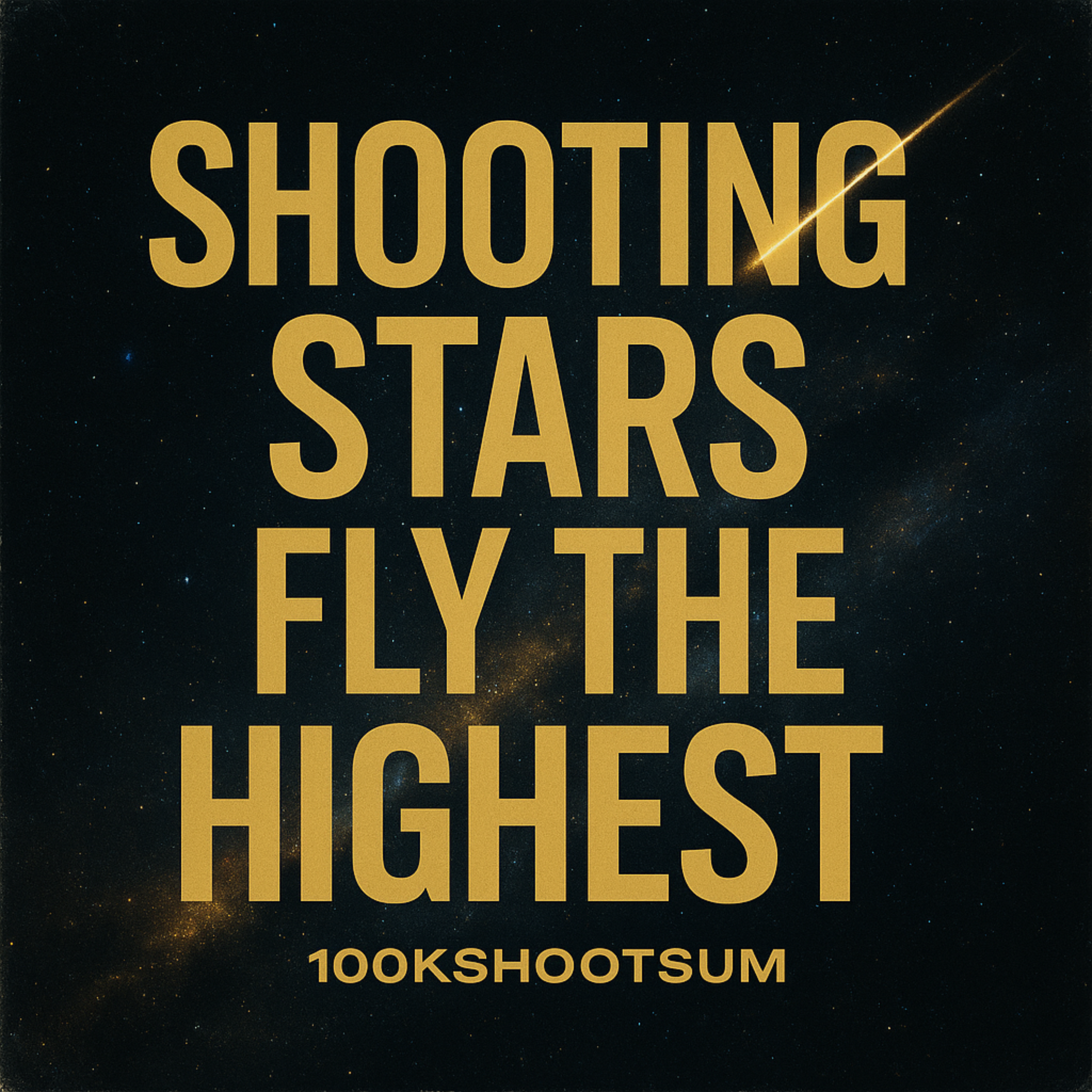 SHOOTING STARS FLY THE HIGHEST artwork