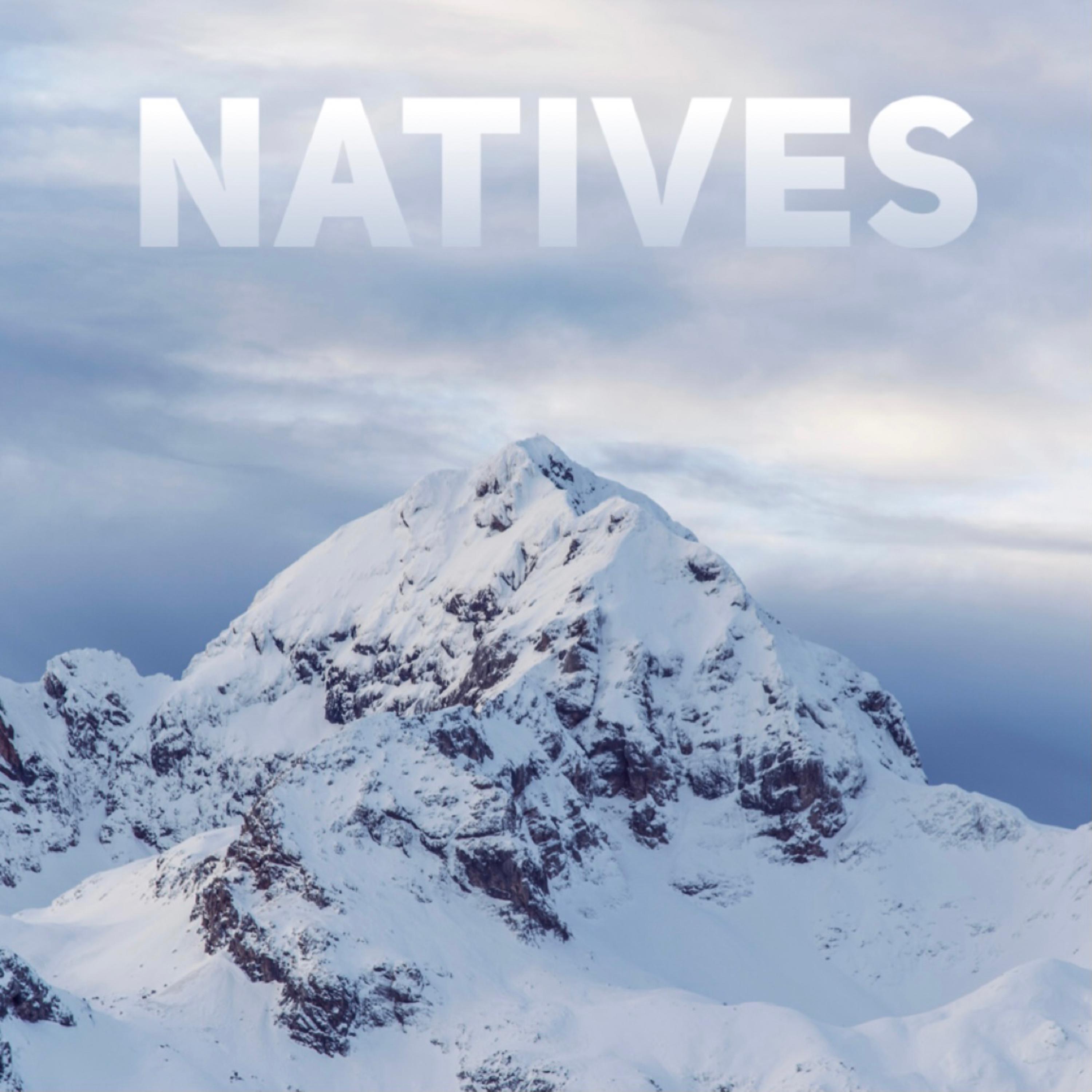 NATIVES artwork