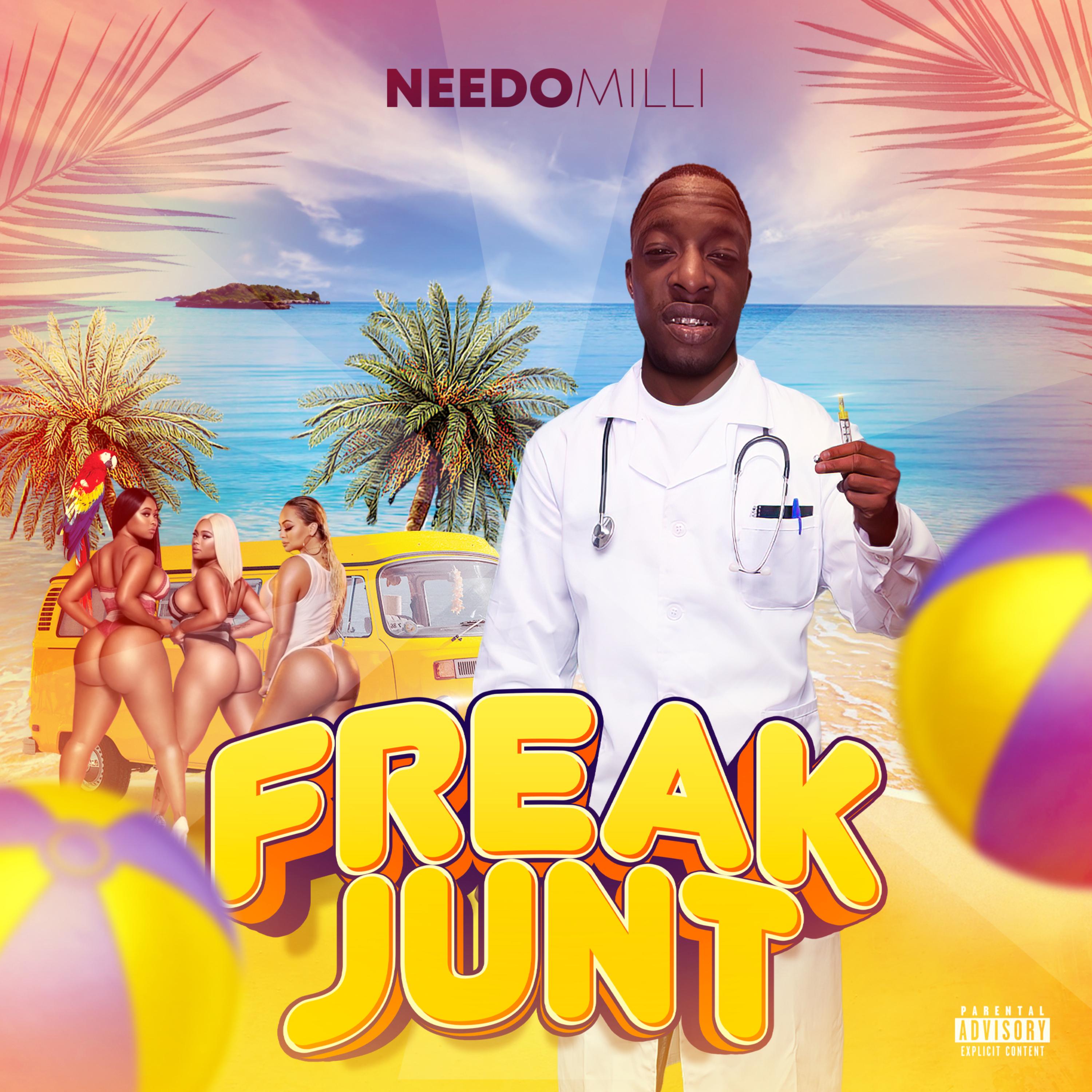 Freak Junt artwork
