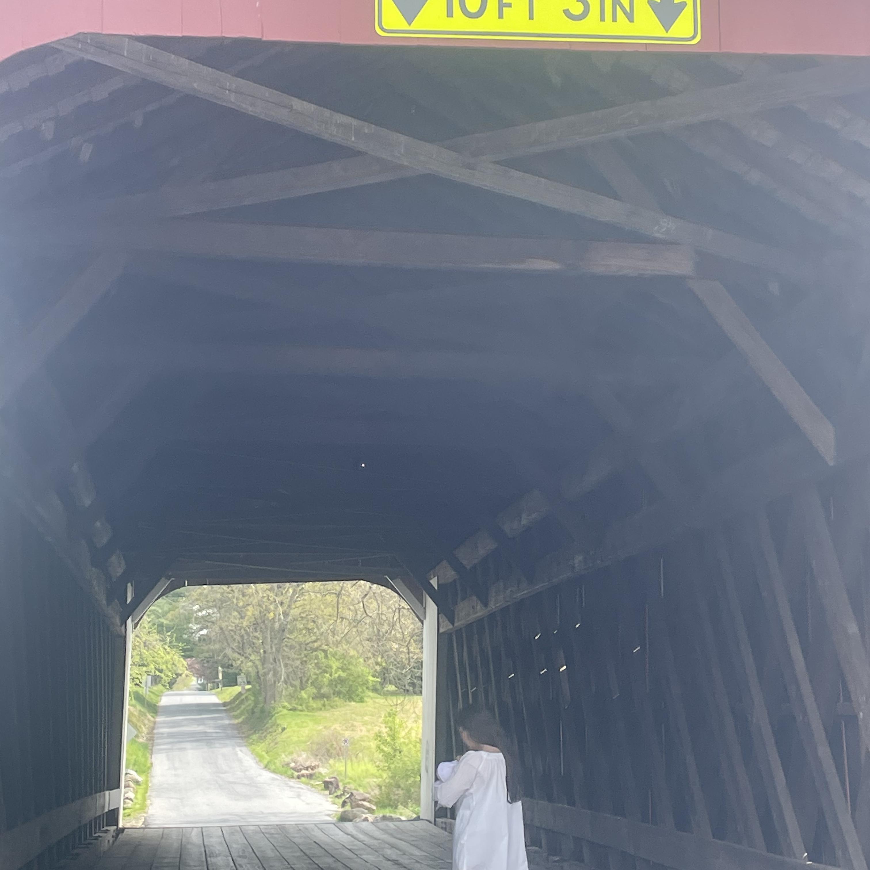 EITHER LIKE IT OR NOT artwork